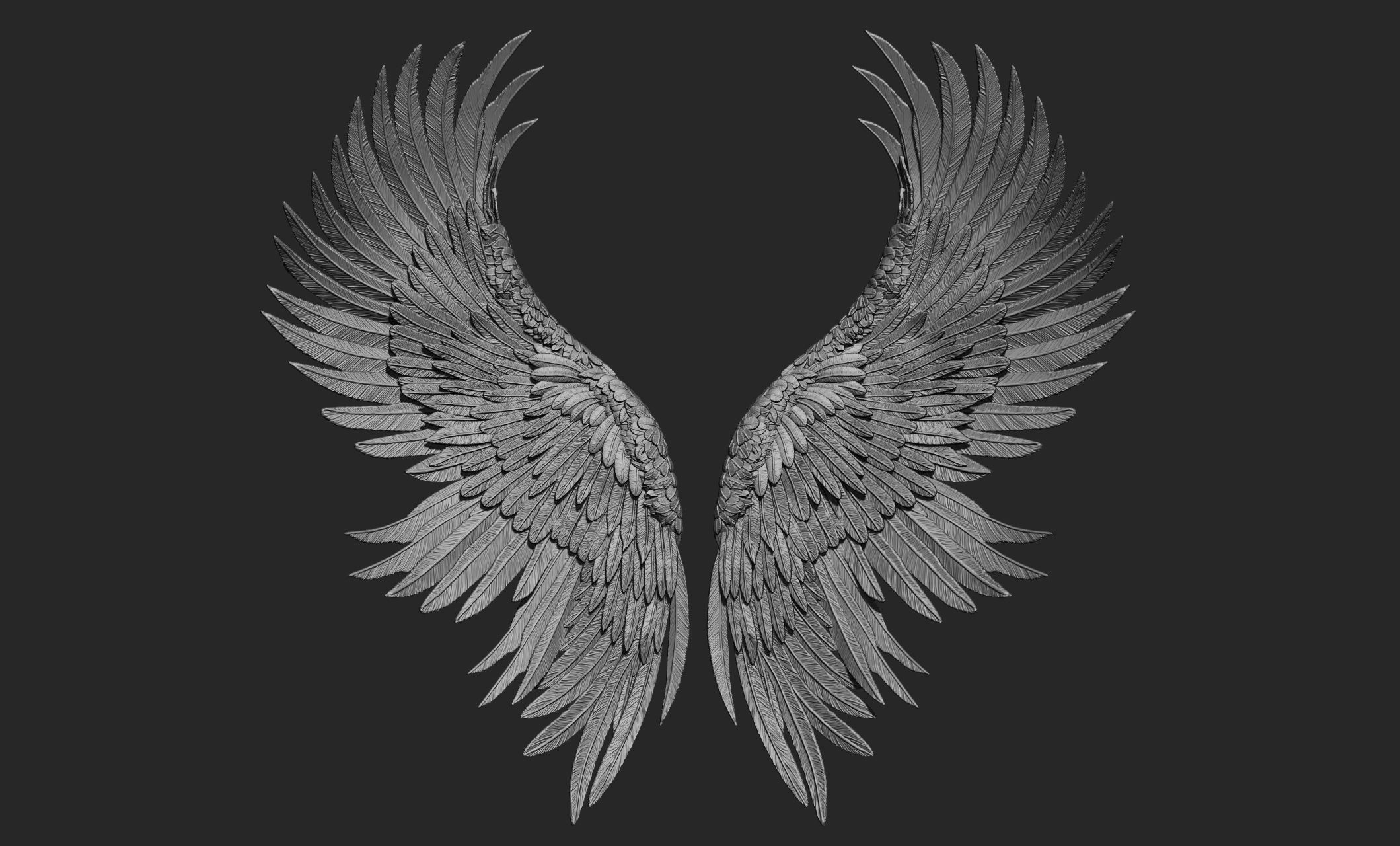10 Wings 3D model_19