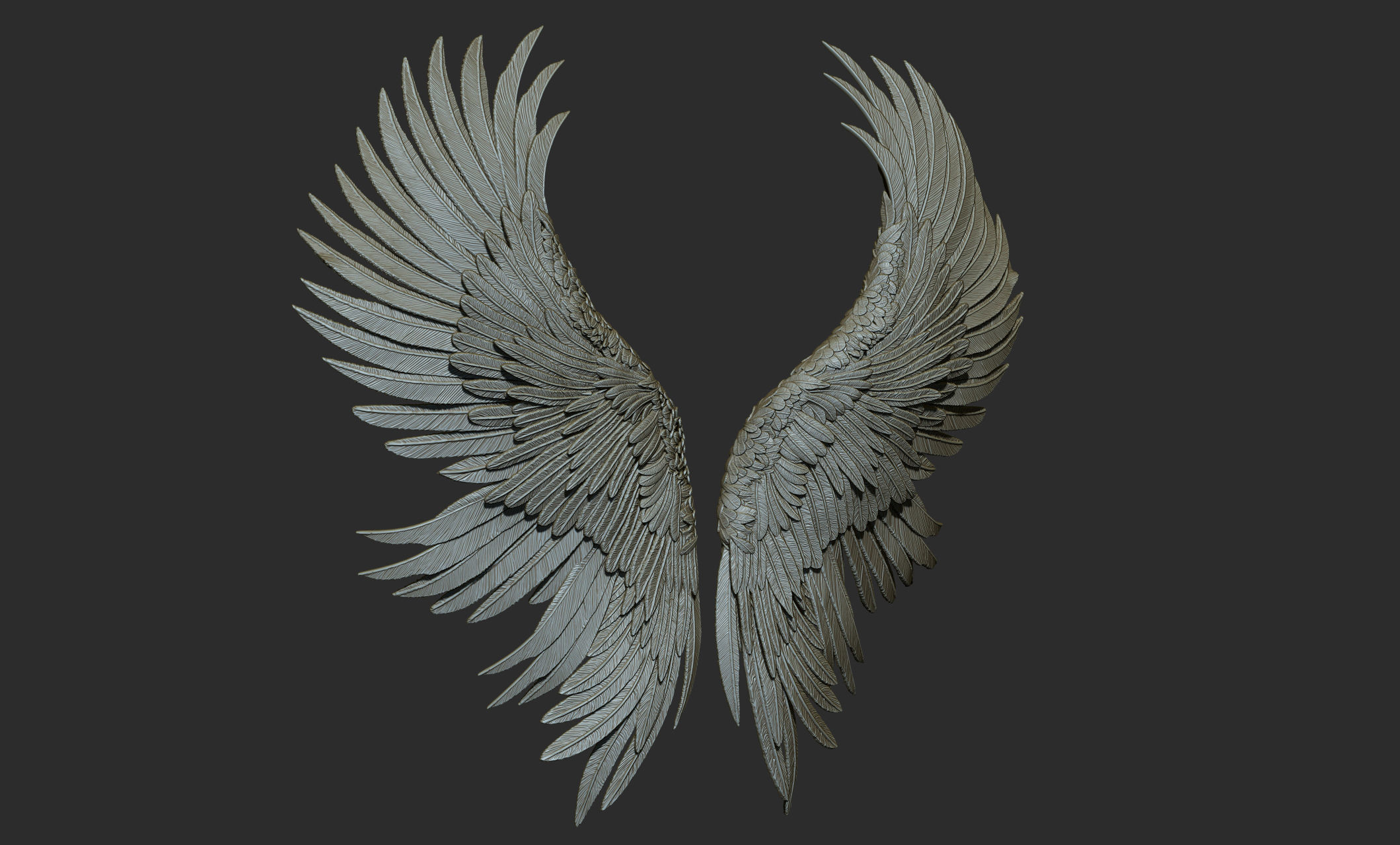 10 Wings 3D model_17