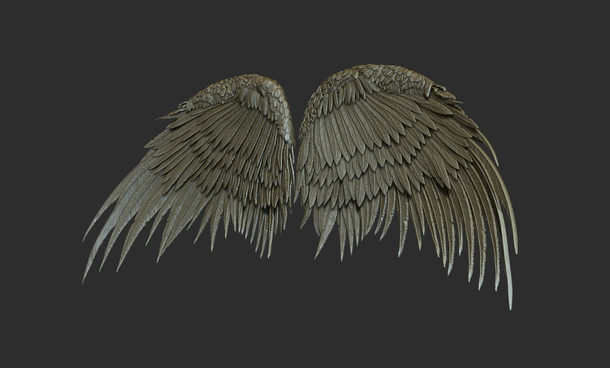 10 Wings 3D model_56