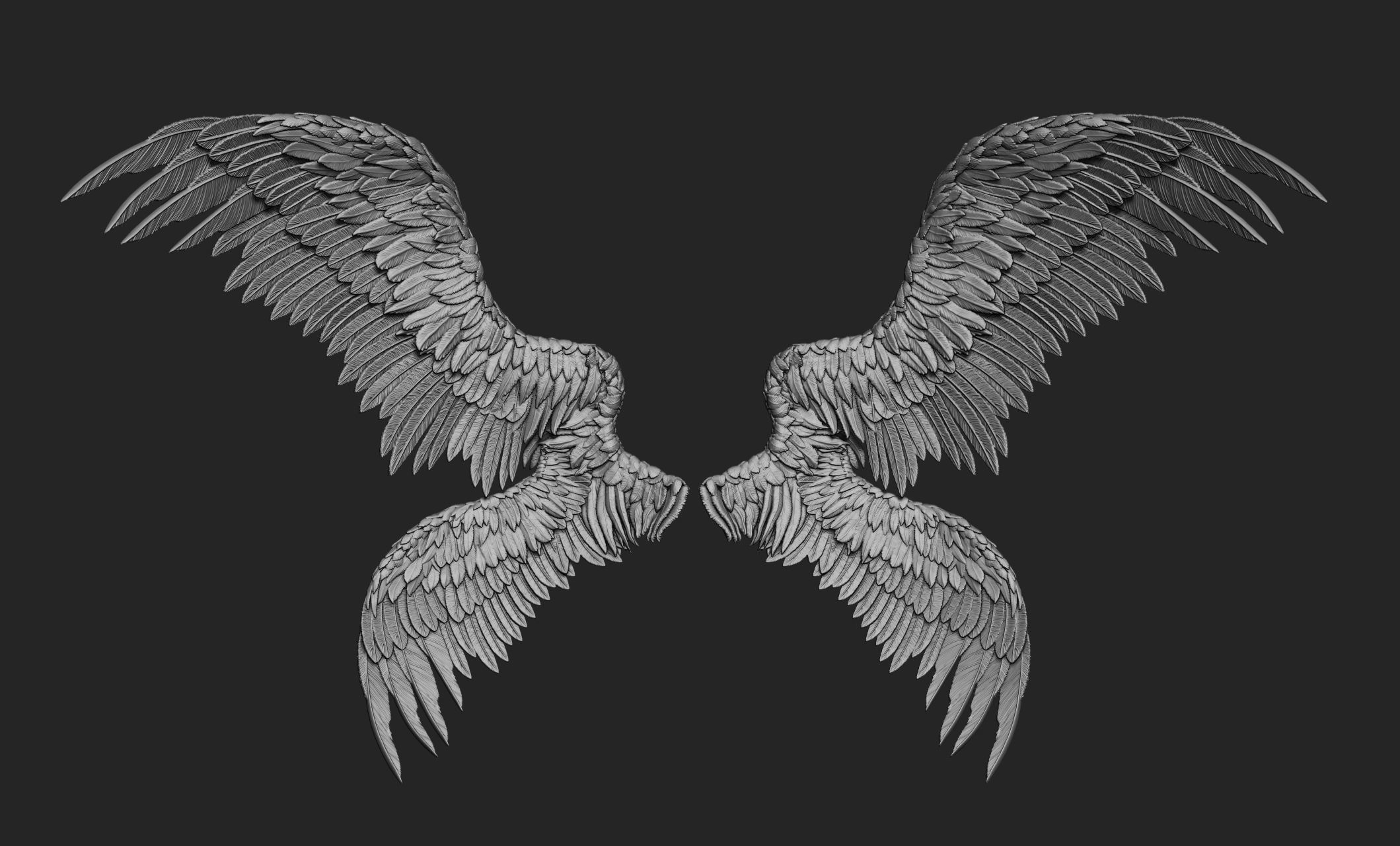 10 Wings 3D model_54