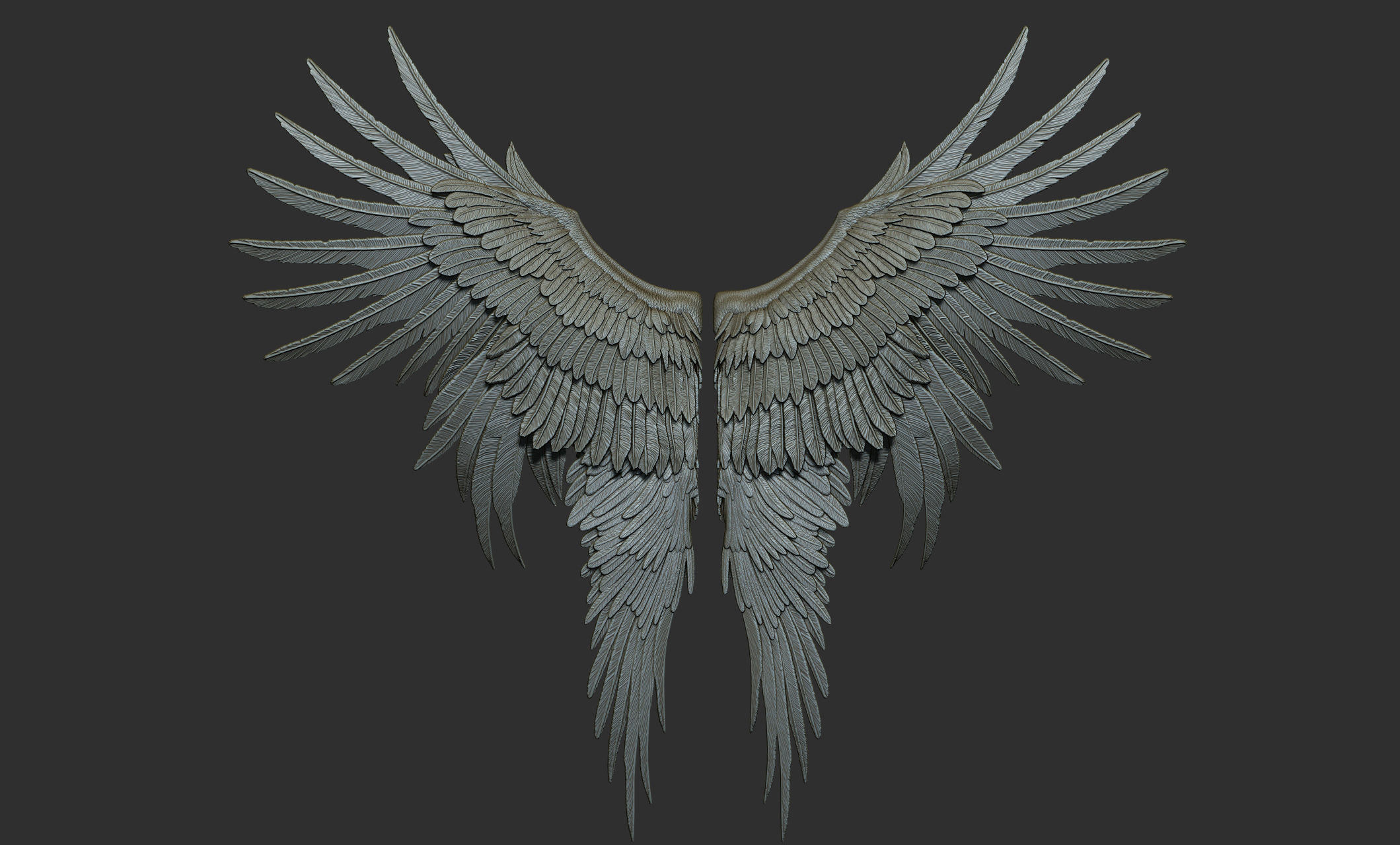 10 Wings 3D model_28