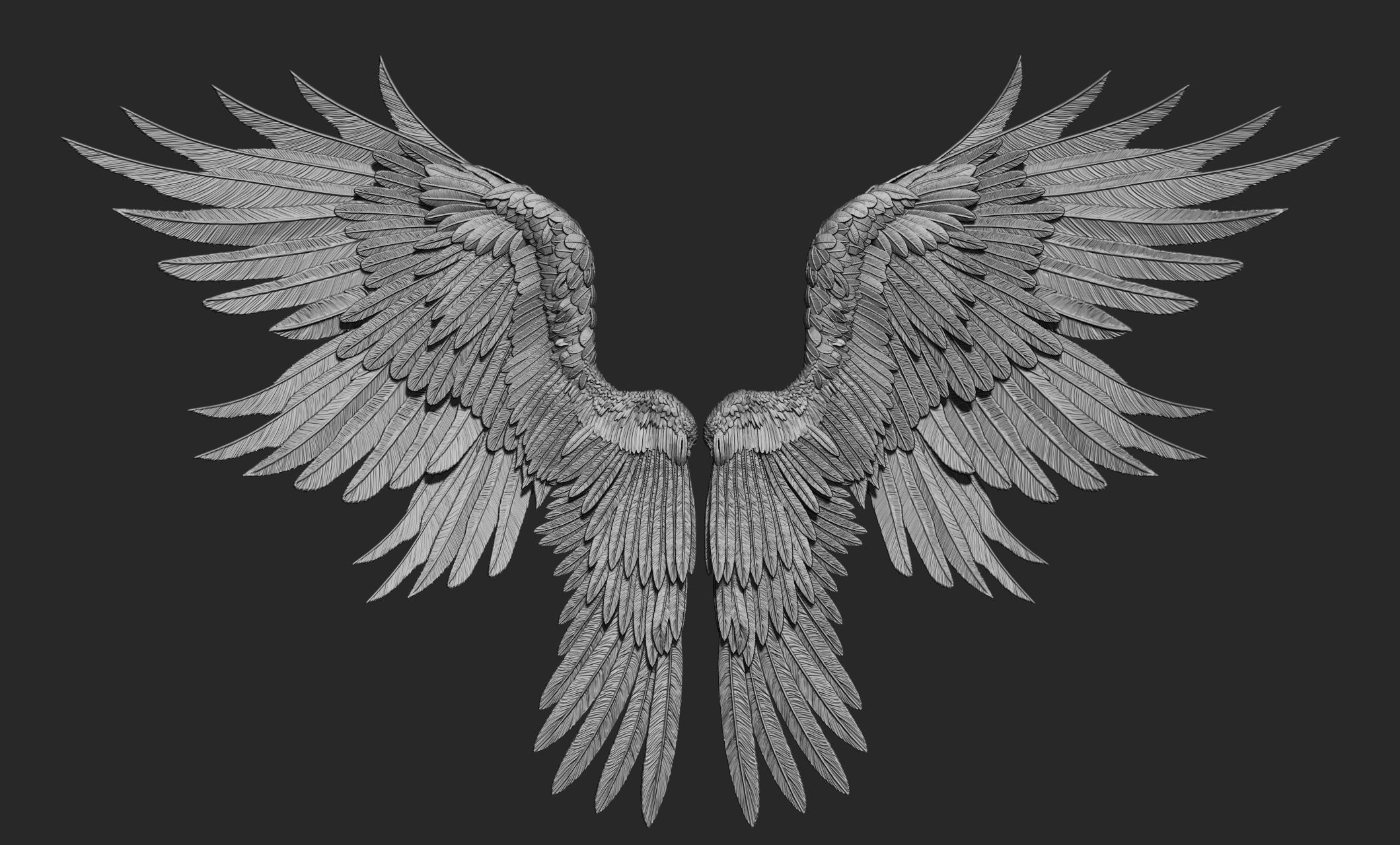 10 Wings 3D model_34