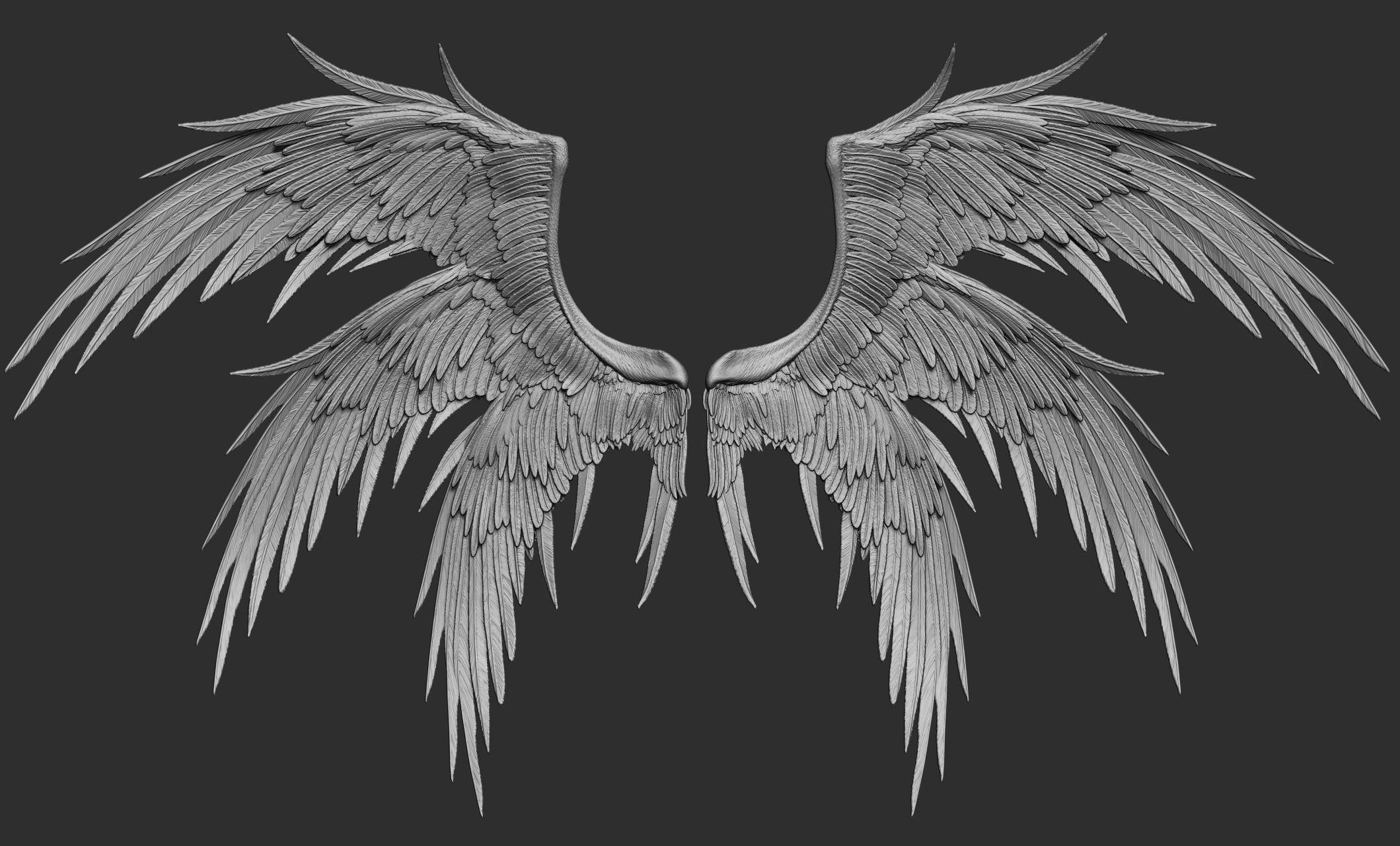 10 Wings 3D model_24