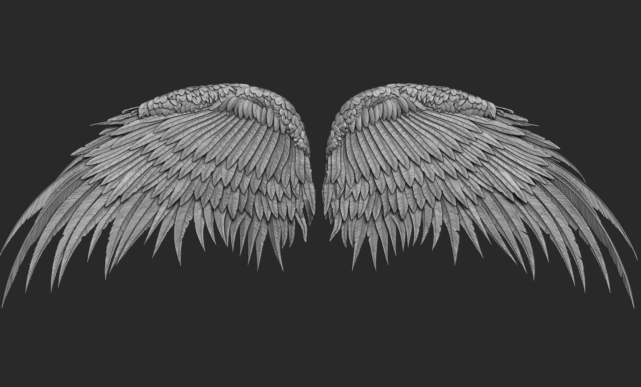 10 Wings 3D model_59