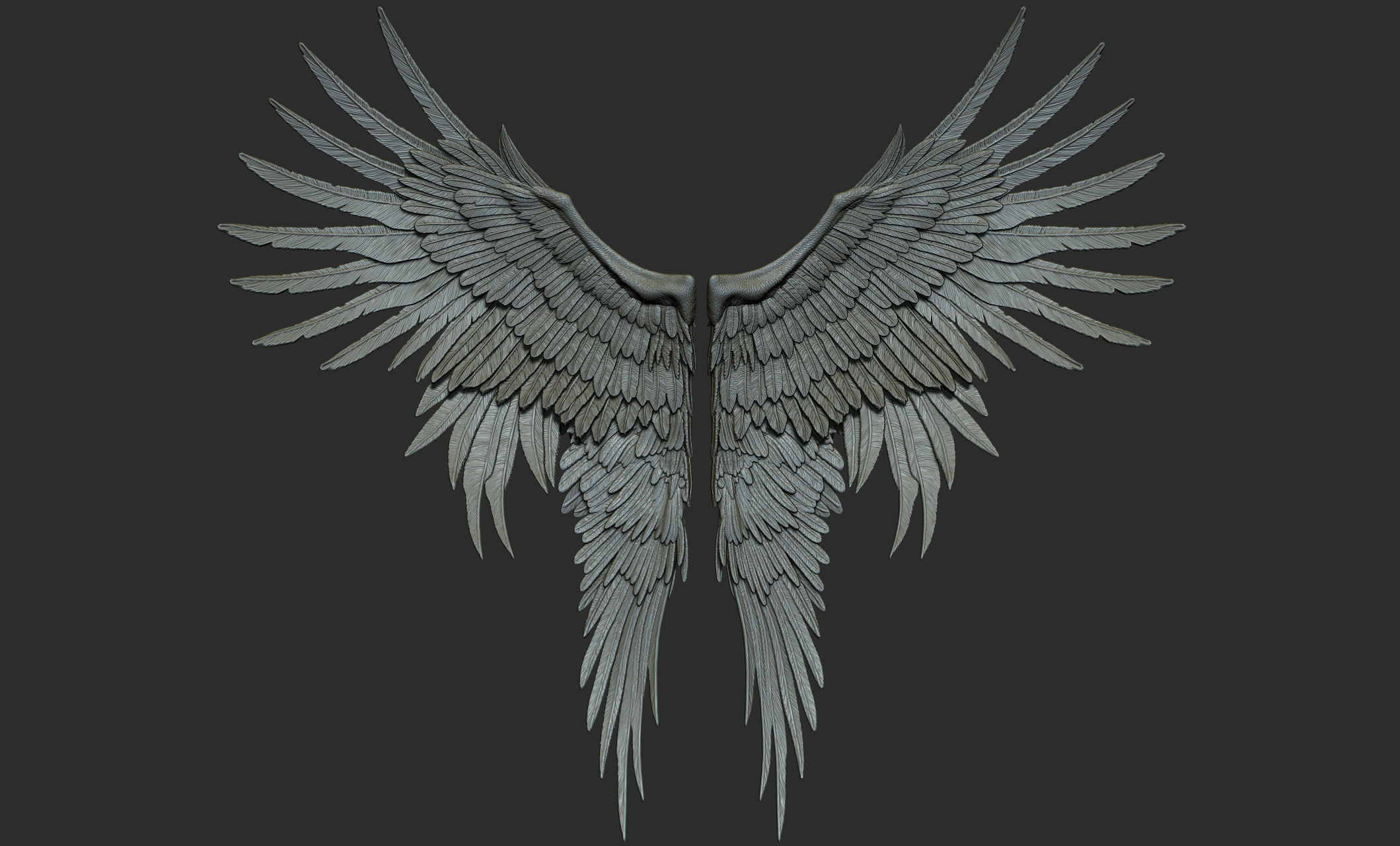 10 Wings 3D model_25