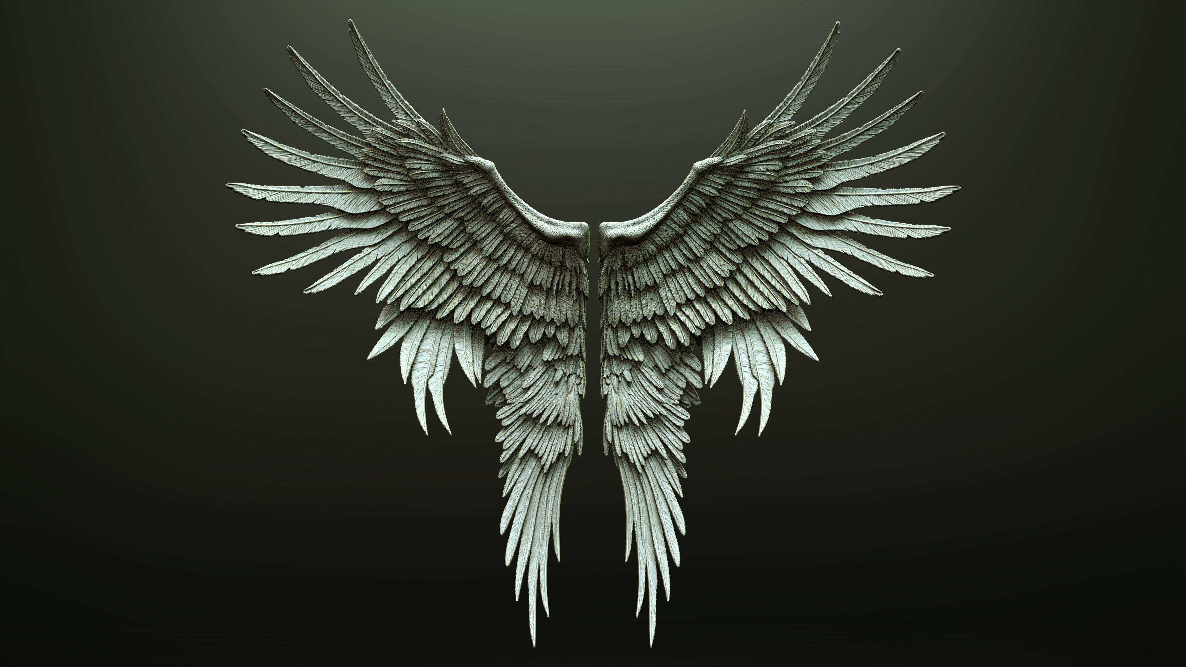 10 Wings 3D model_4