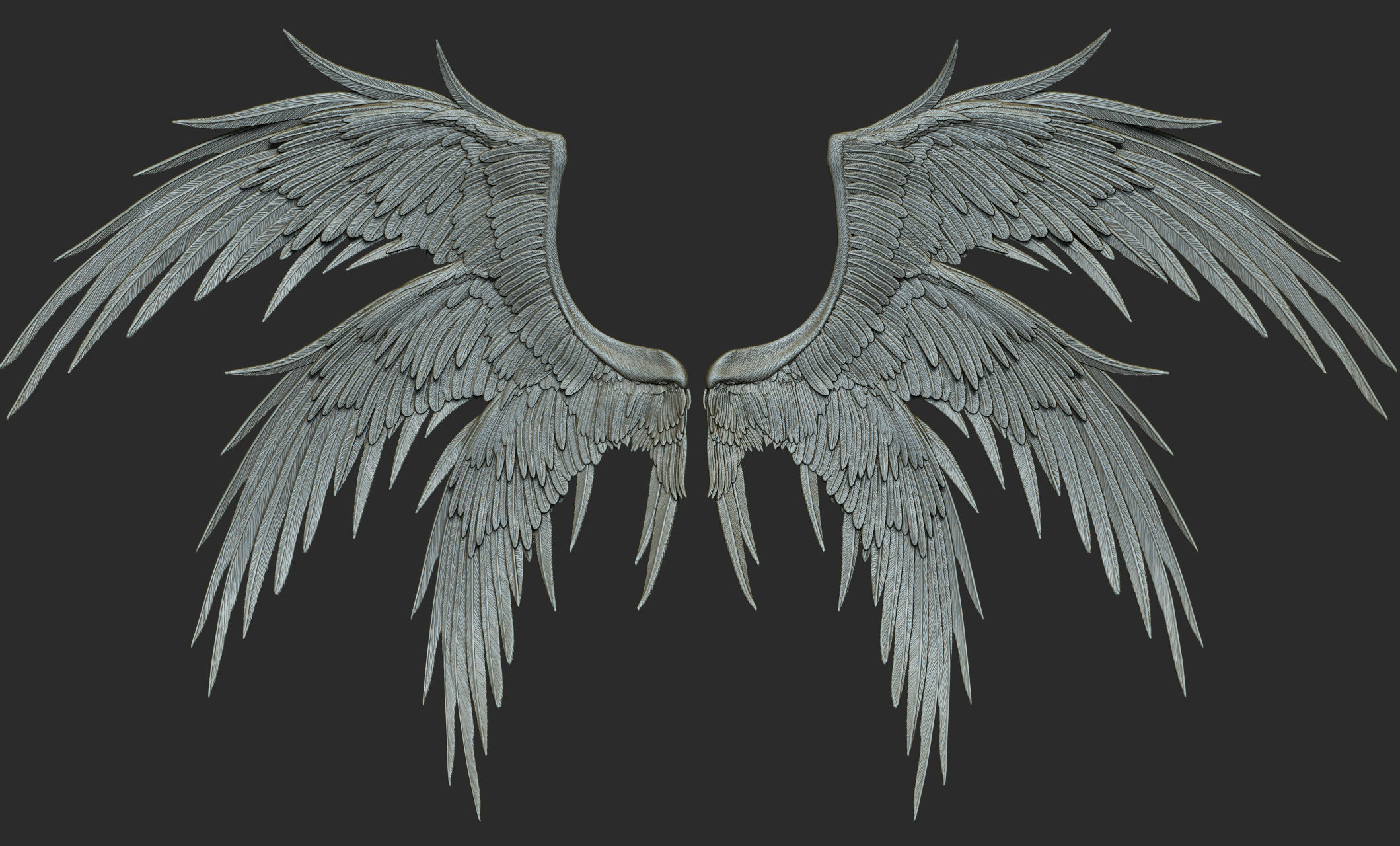 10 Wings 3D model_20