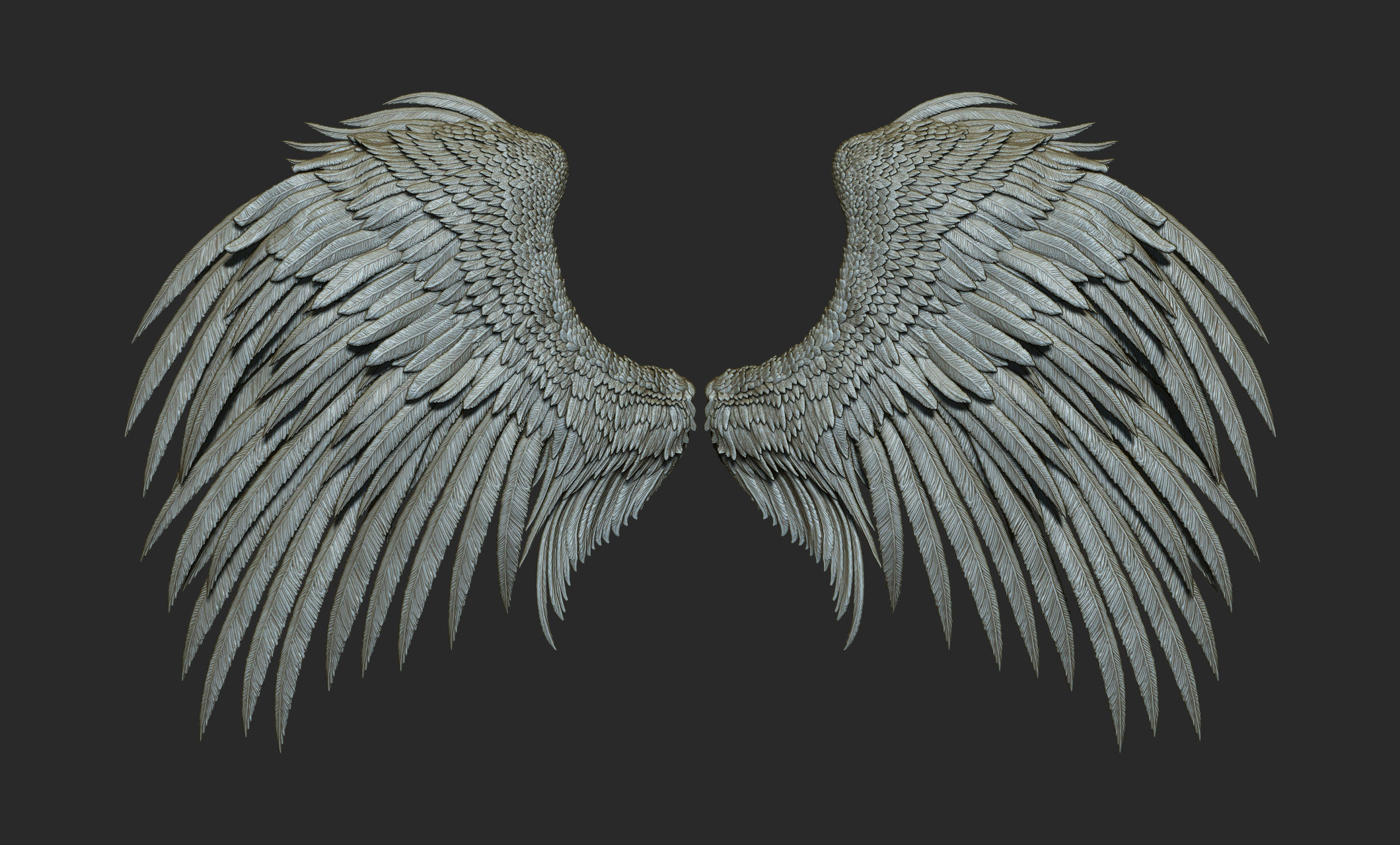 10 Wings 3D model_13