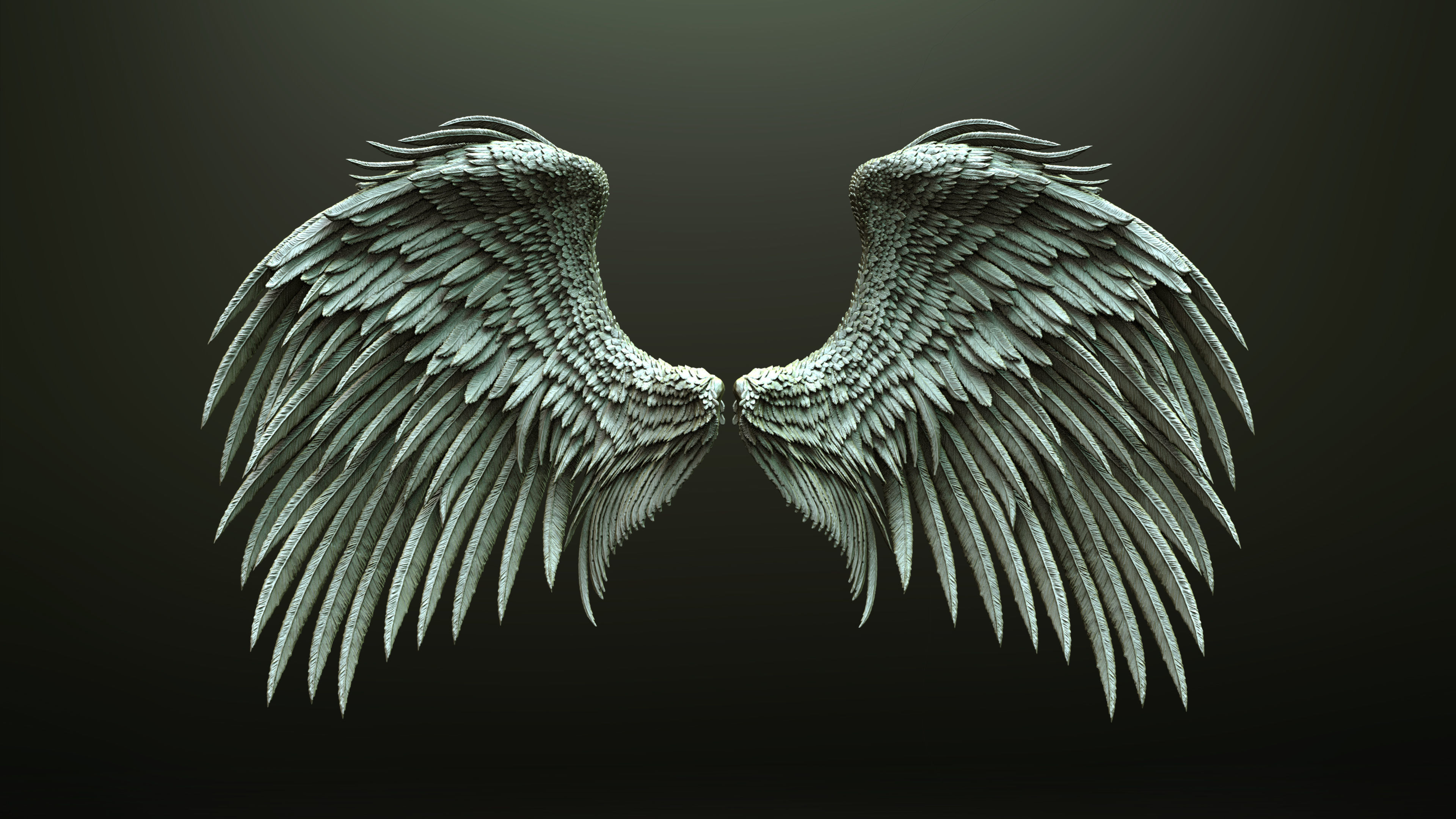 10 Wings 3D model_3