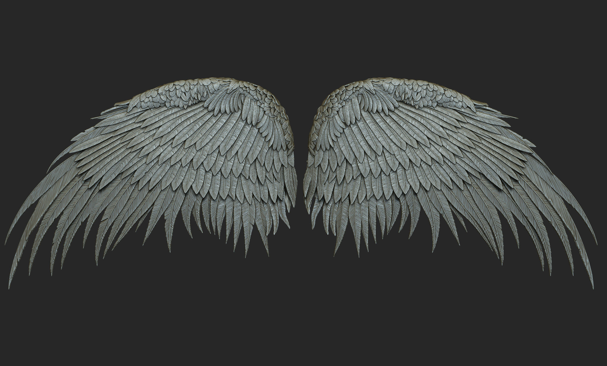 10 Wings 3D model_58