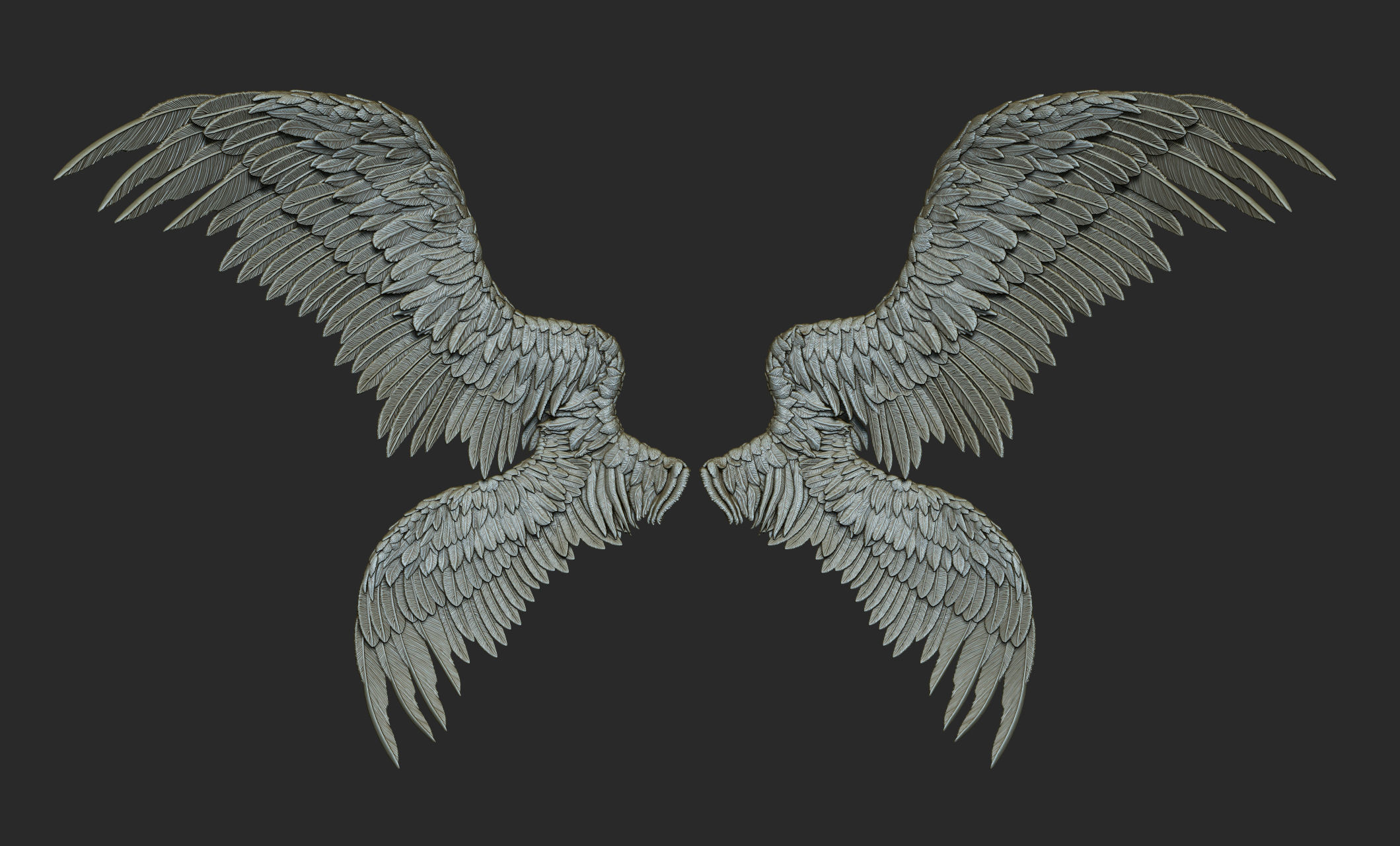 10 Wings 3D model_50