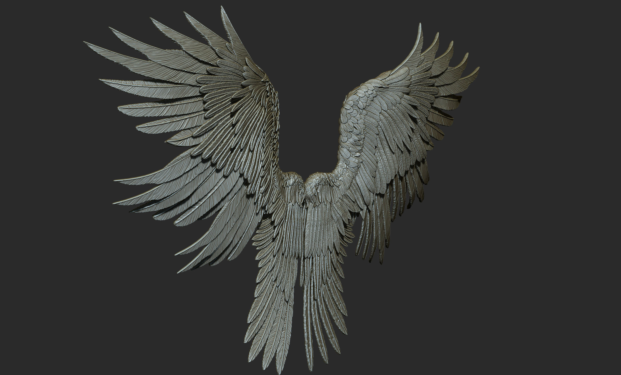 10 Wings 3D model_32