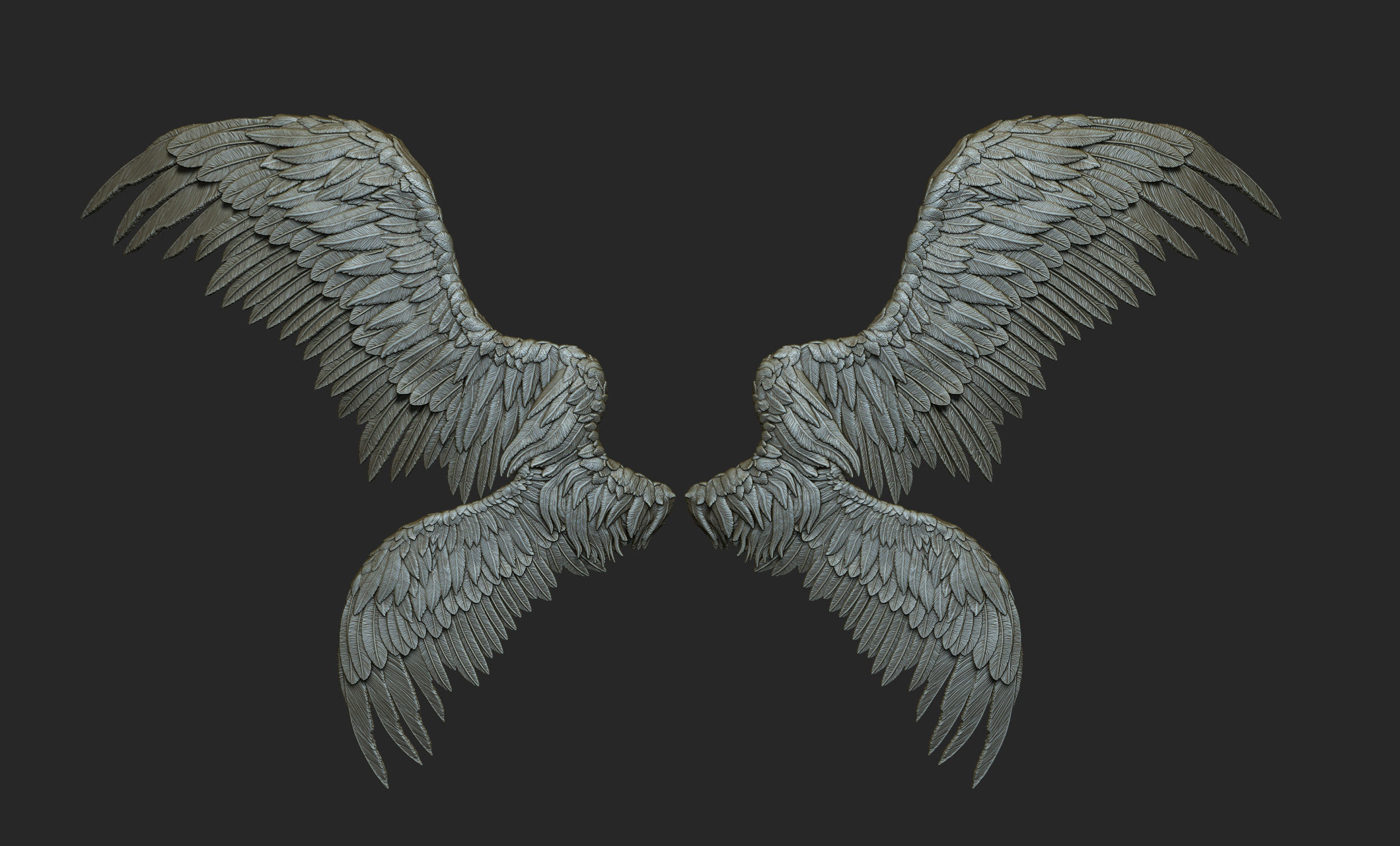 10 Wings 3D model_53