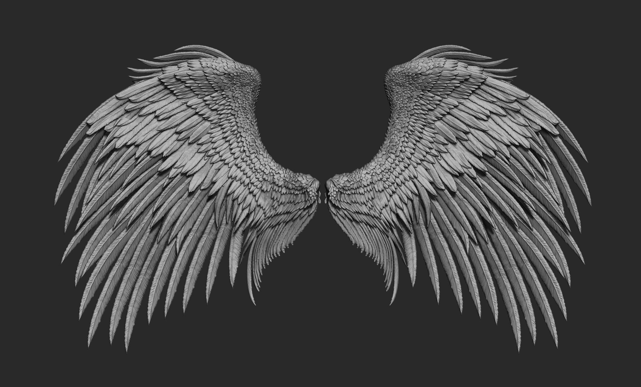 10 Wings 3D model_14