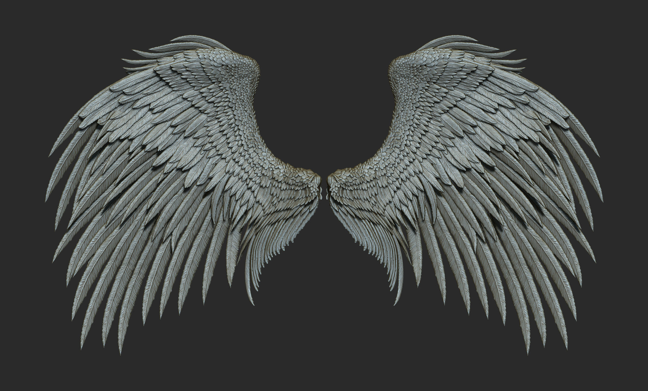 10 Wings 3D model_10