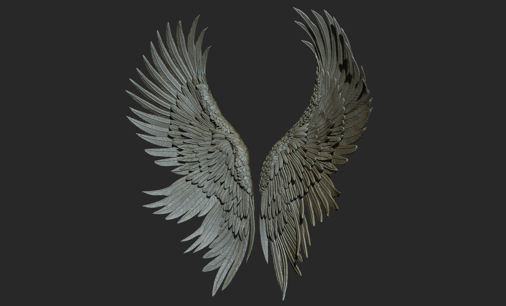 10 Wings 3D model_16