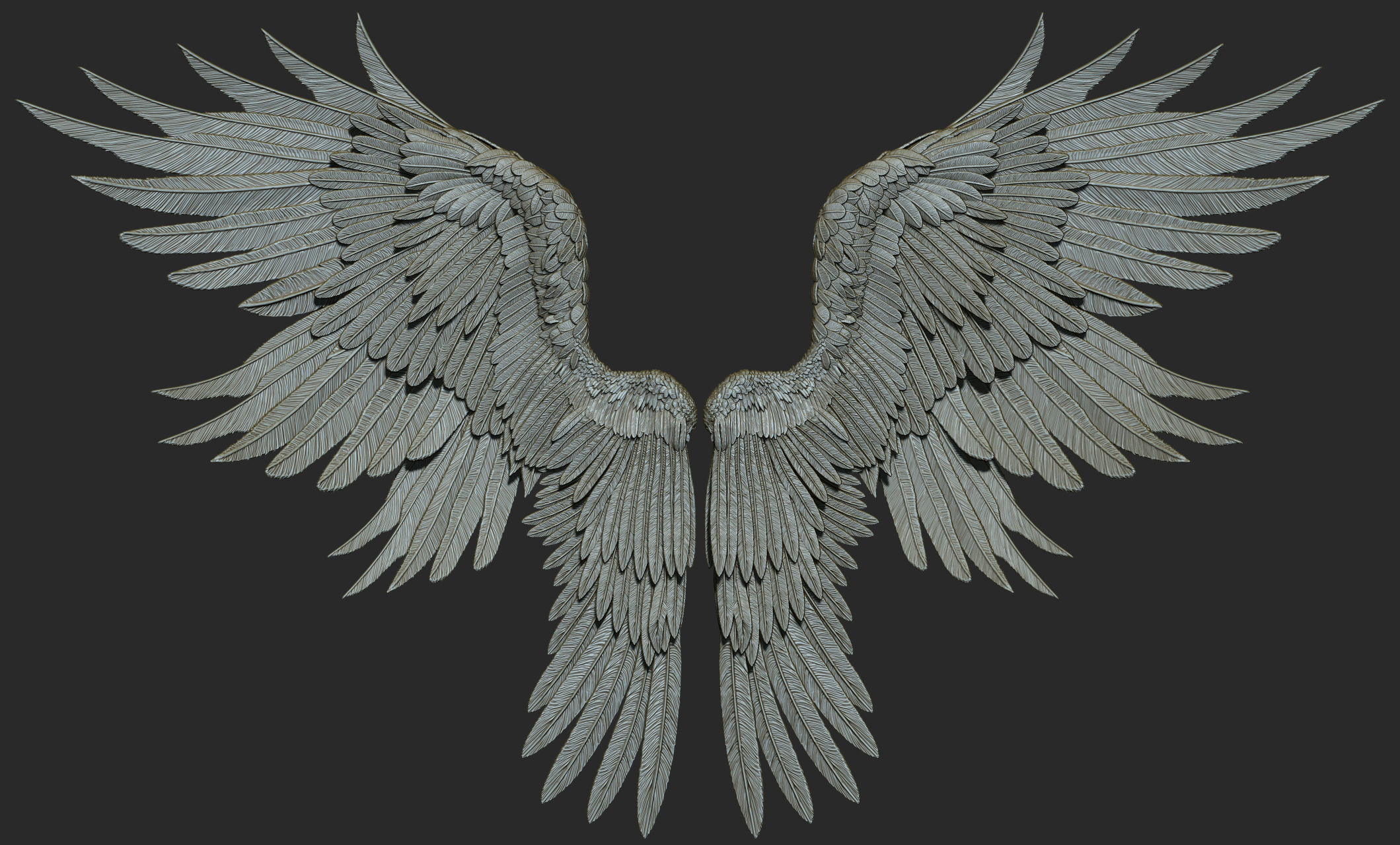 10 Wings 3D model_30