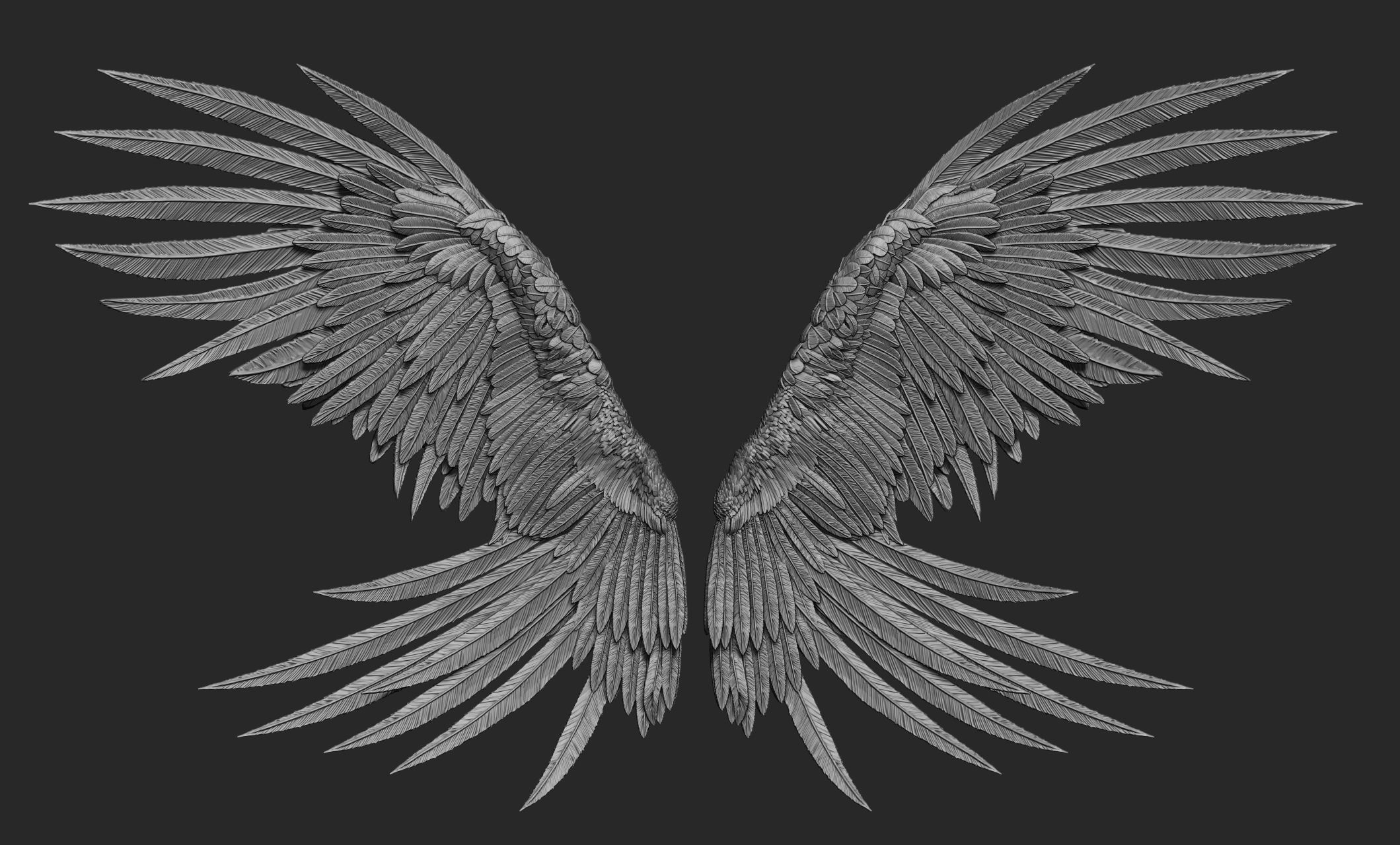 10 Wings 3D model_44