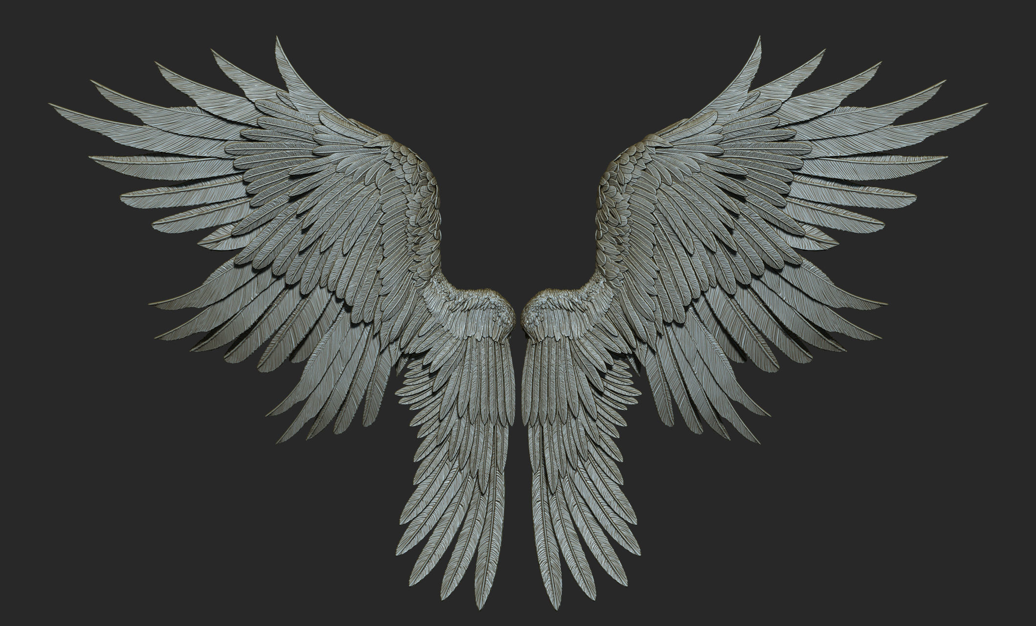 10 Wings 3D model_33