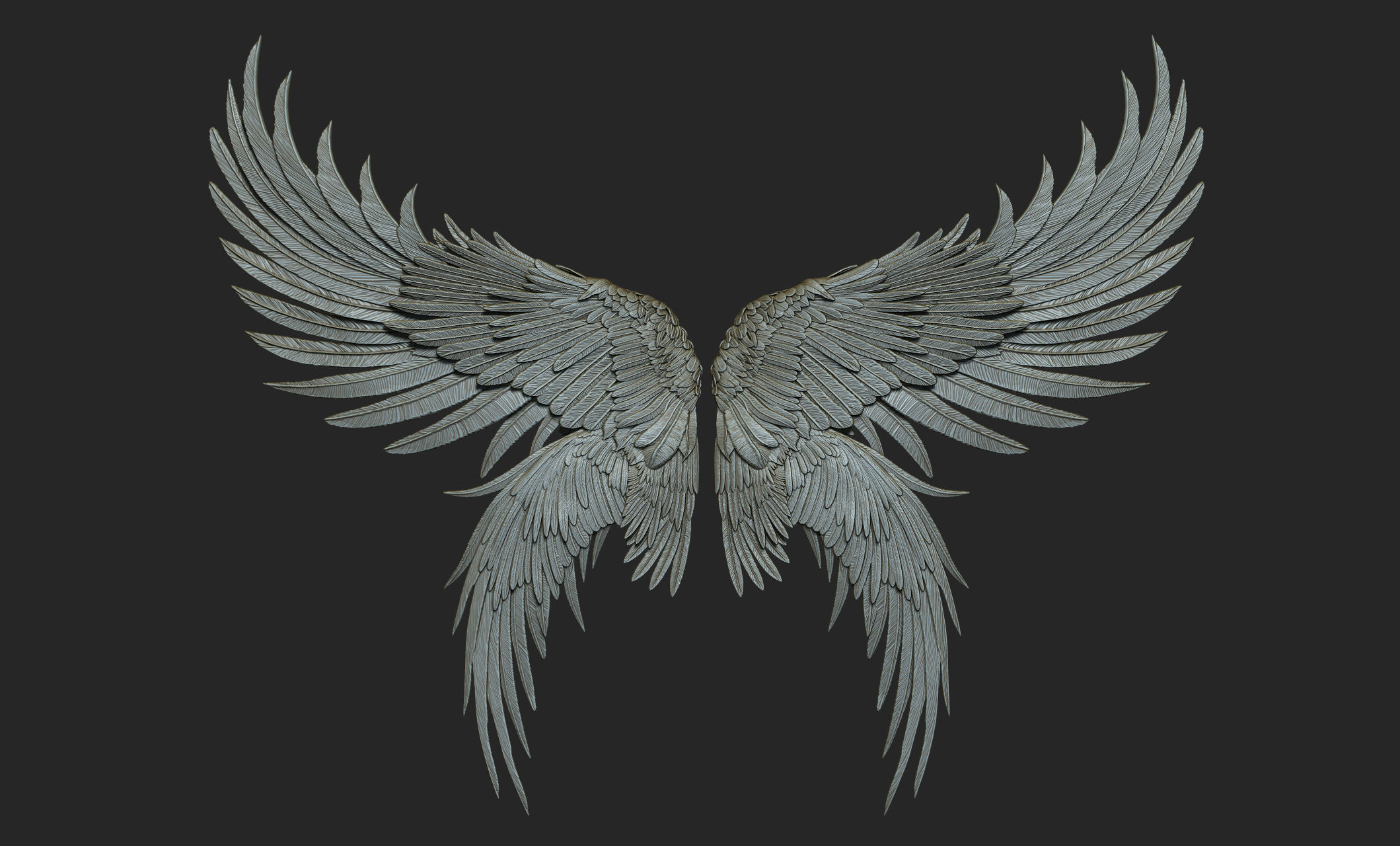 10 Wings 3D model_48