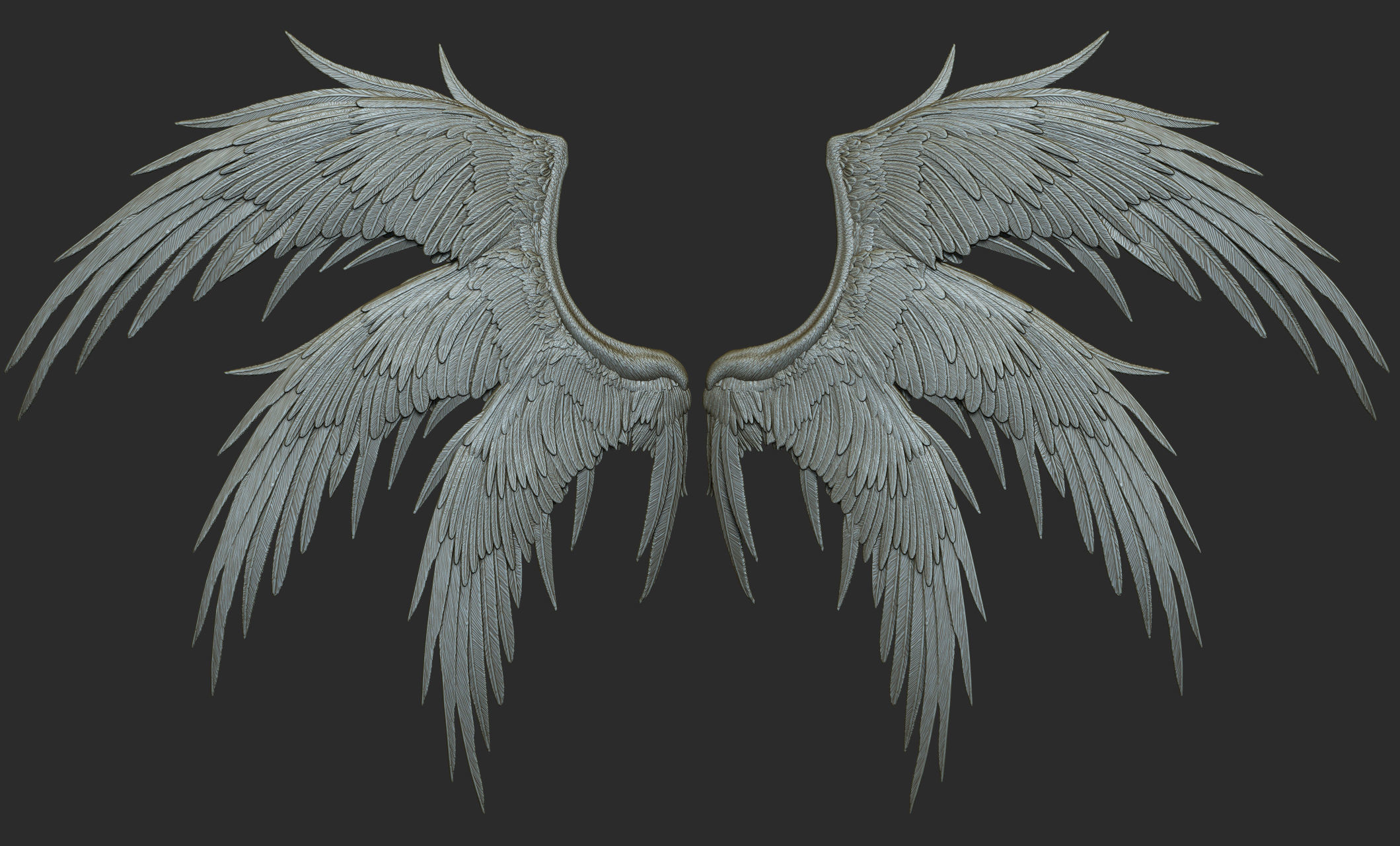 10 Wings 3D model_23