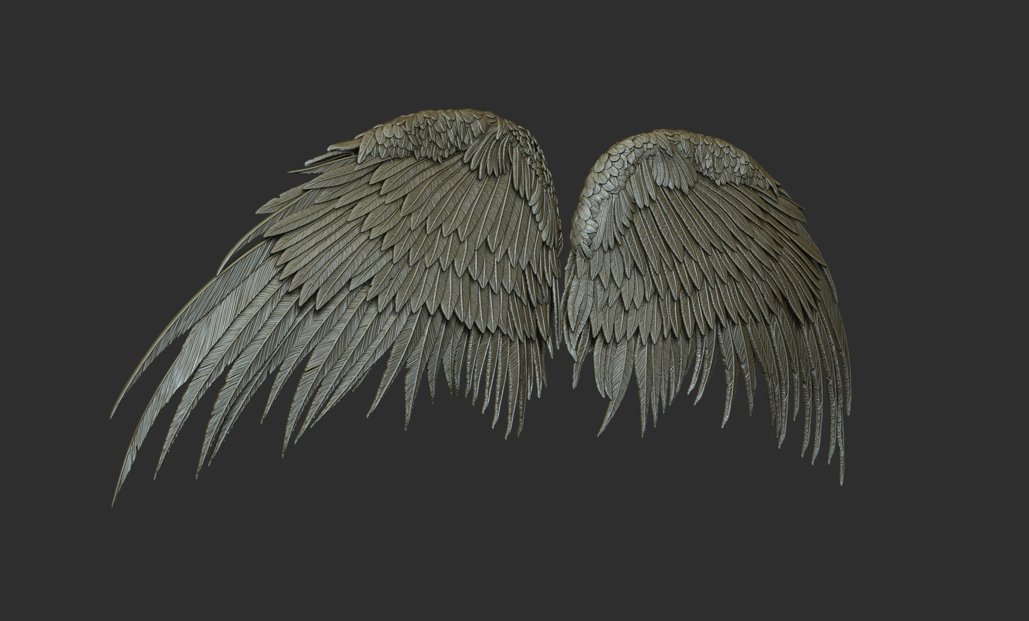 10 Wings 3D model_57