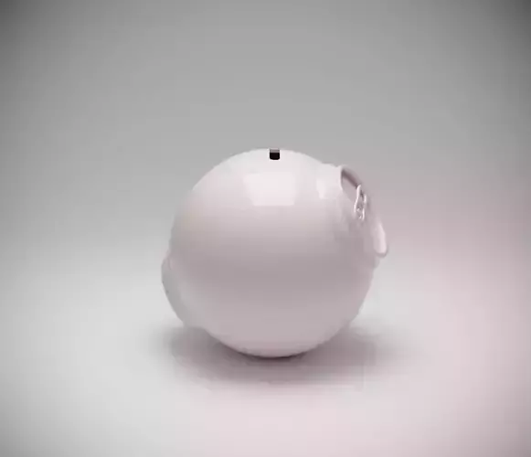 PIGGY BANK