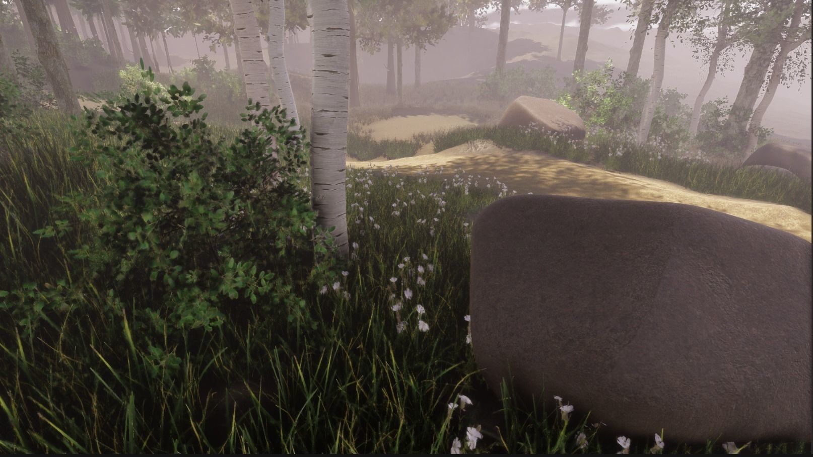 HDRP Nature 1 3D model_3