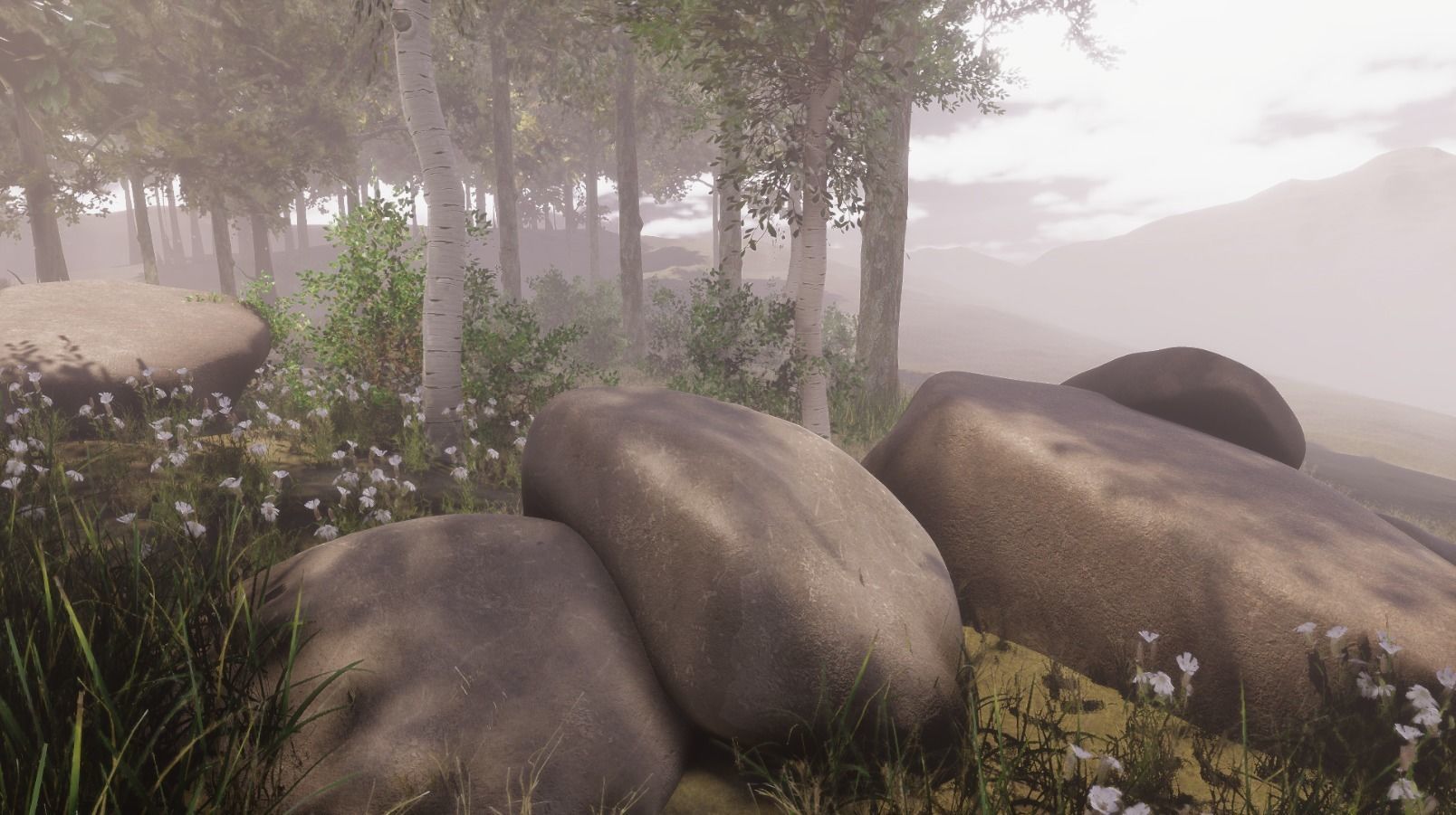 HDRP Nature 1 3D model_2