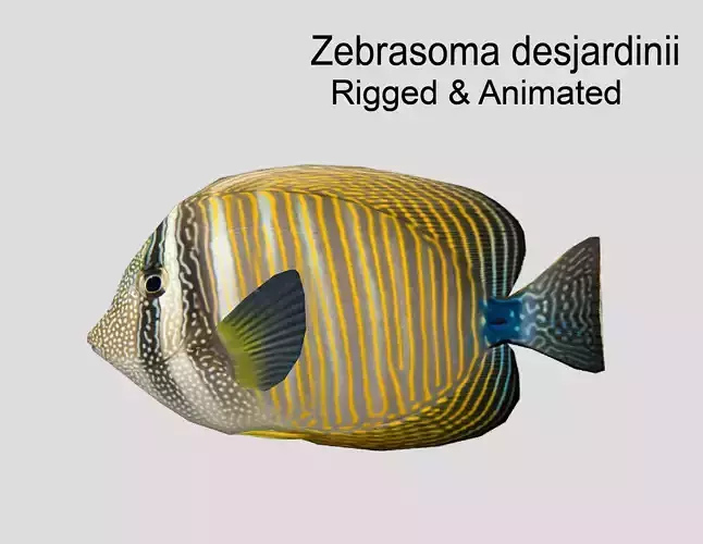 Zebrasoma desjardinii