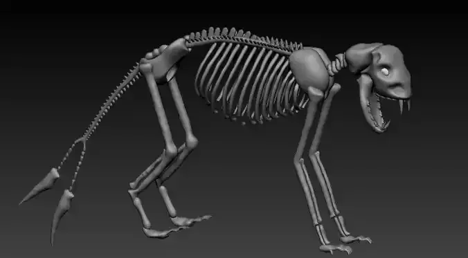 Dinosaur Skeleton 3D model