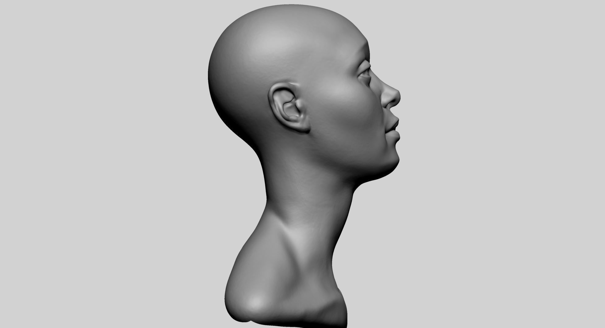 Base Female Head D 3D model_2