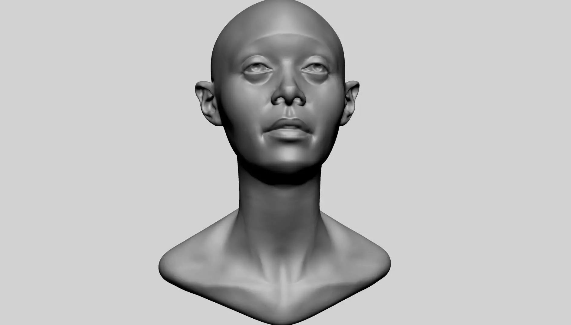 Base Female Head D 3D model_0