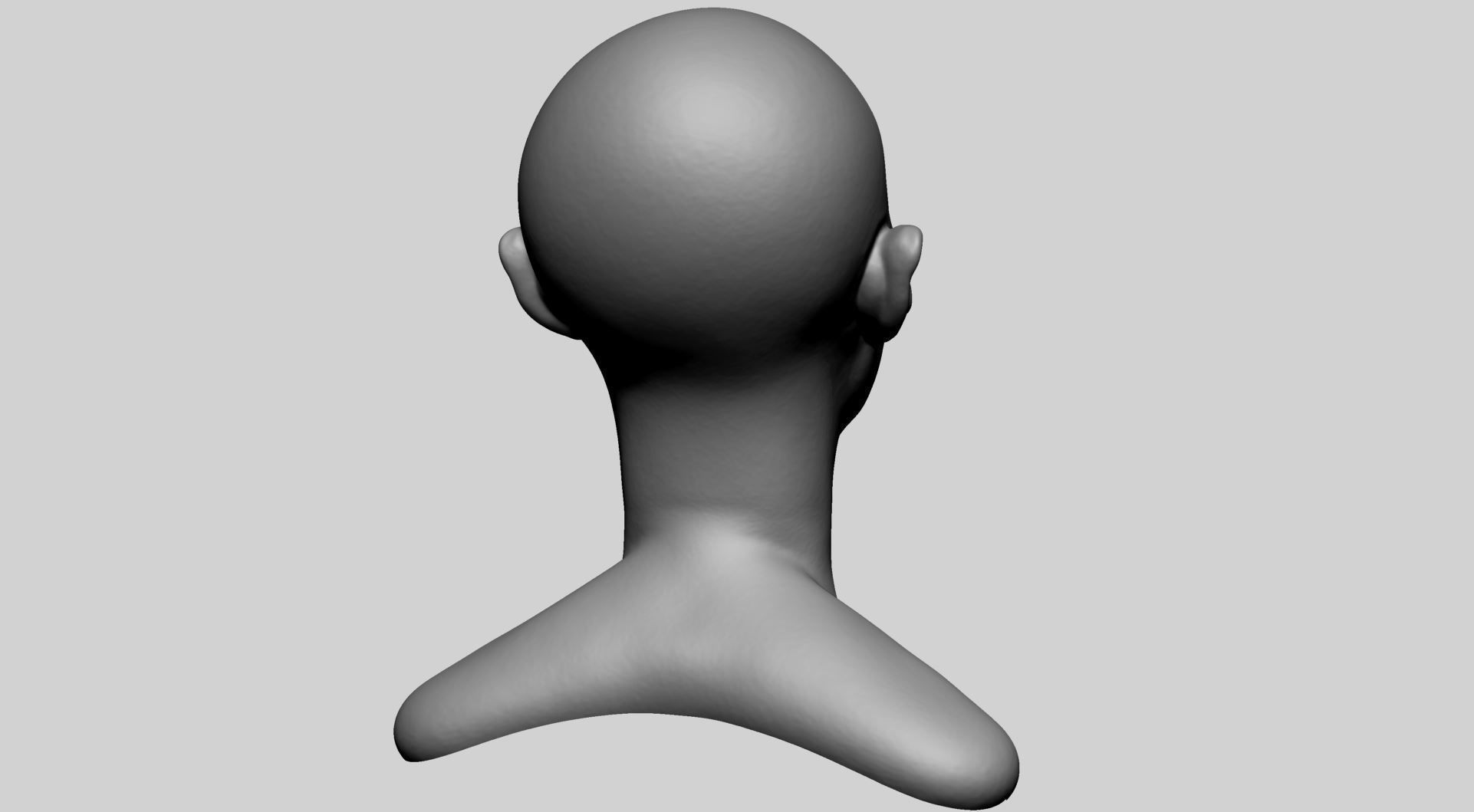 Base Female Head D 3D model_3