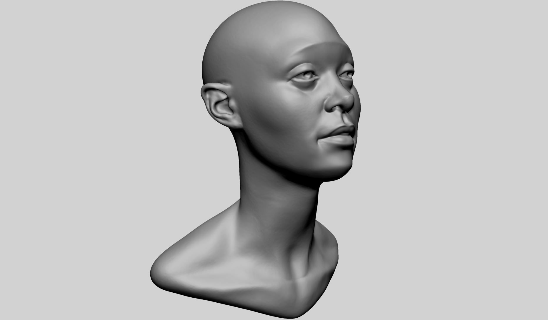 Base Female Head D 3D model_1