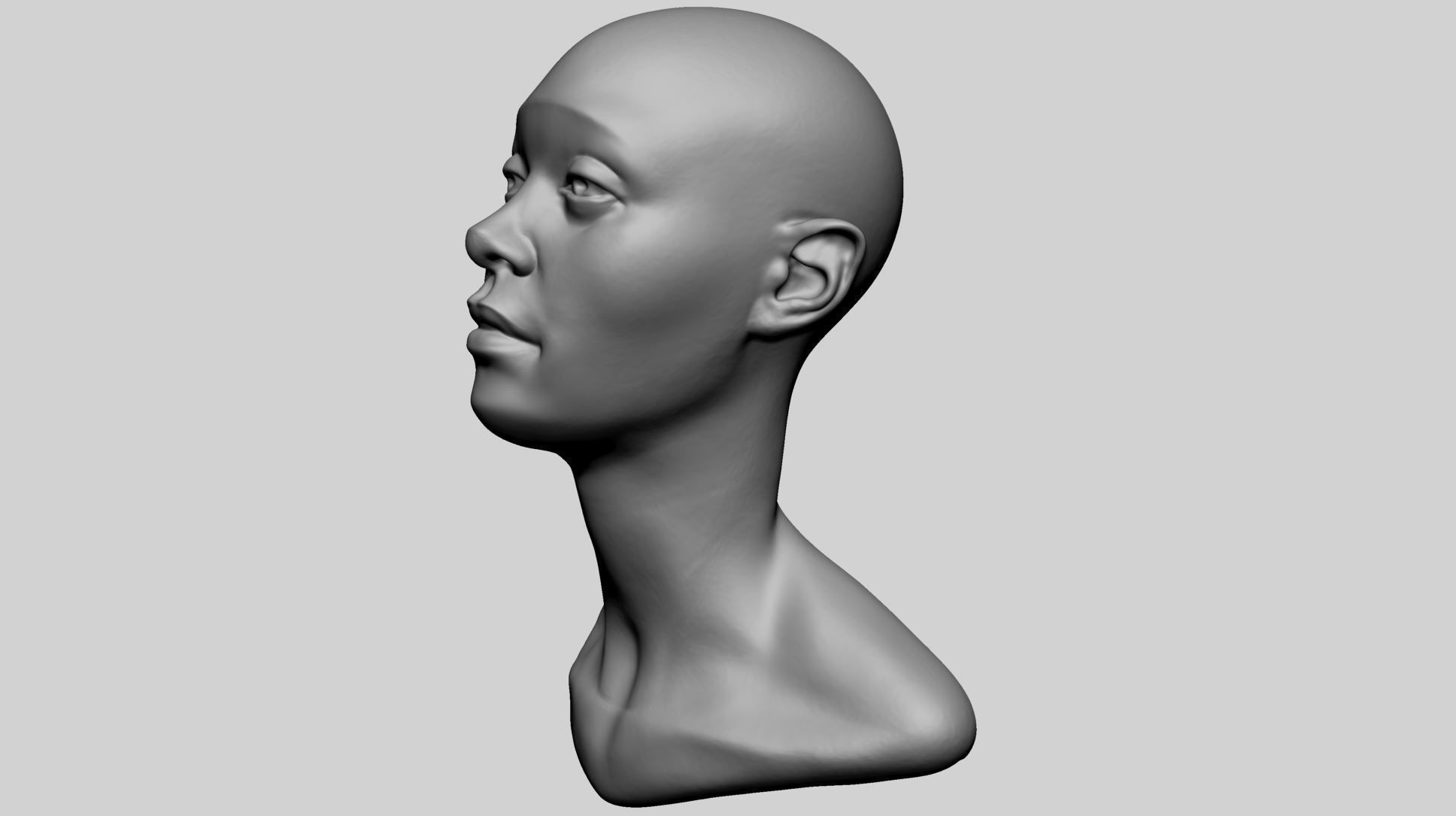 Base Female Head D 3D model_5