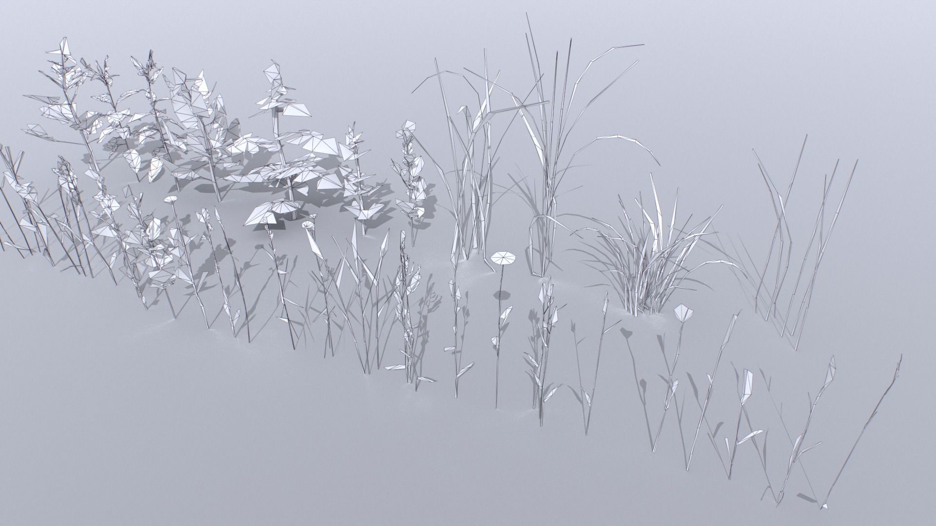 Plants Pack Low-poly 3D model_13