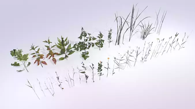 Plants Pack Low-poly 3D model