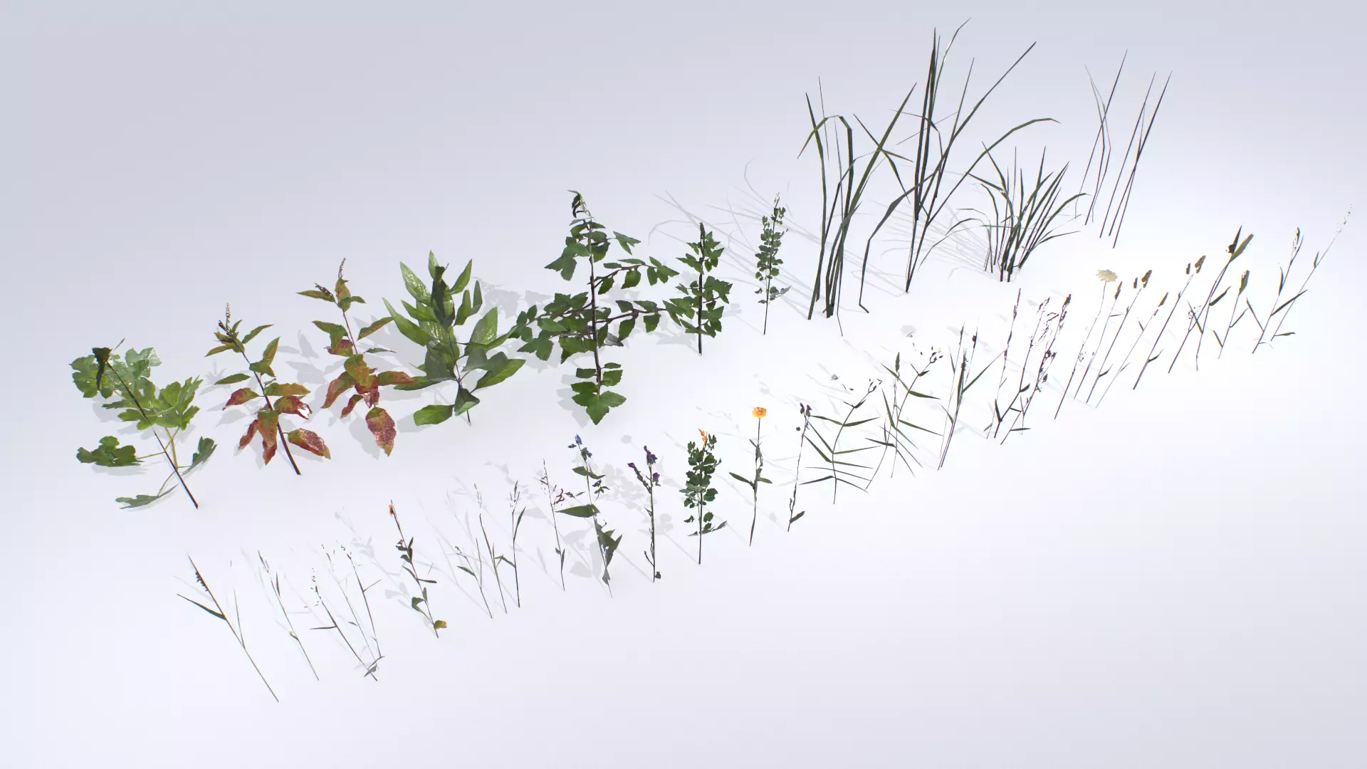 Plants Pack Low-poly 3D model_0