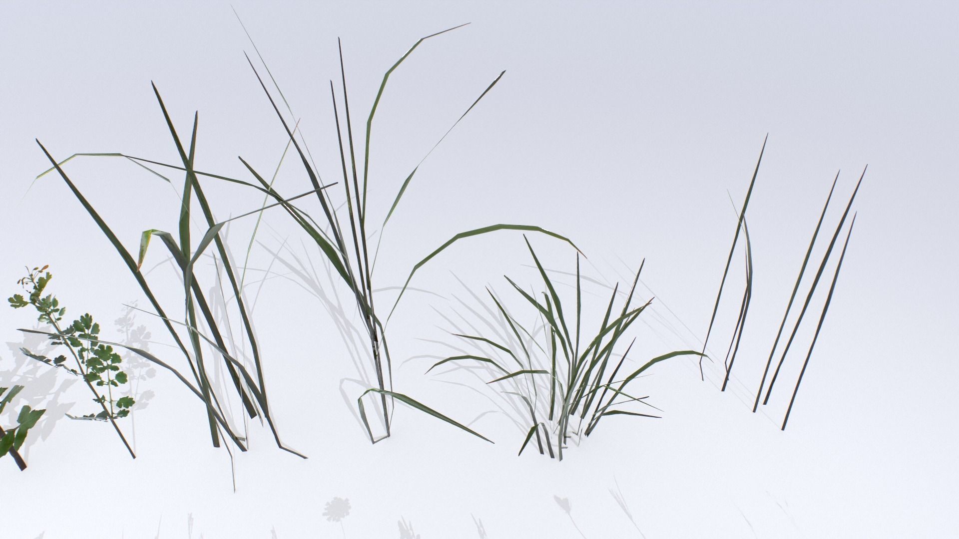 Plants Pack Low-poly 3D model_6