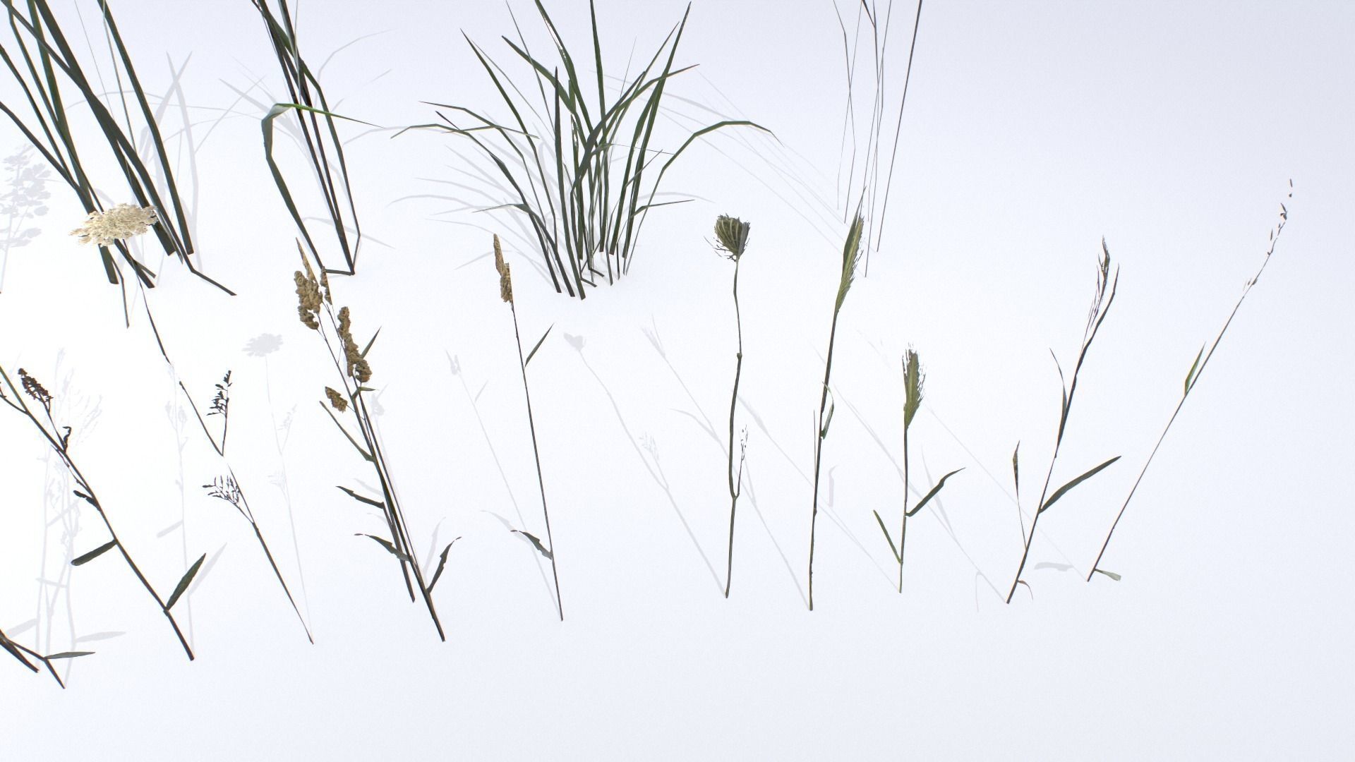 Plants Pack Low-poly 3D model_5