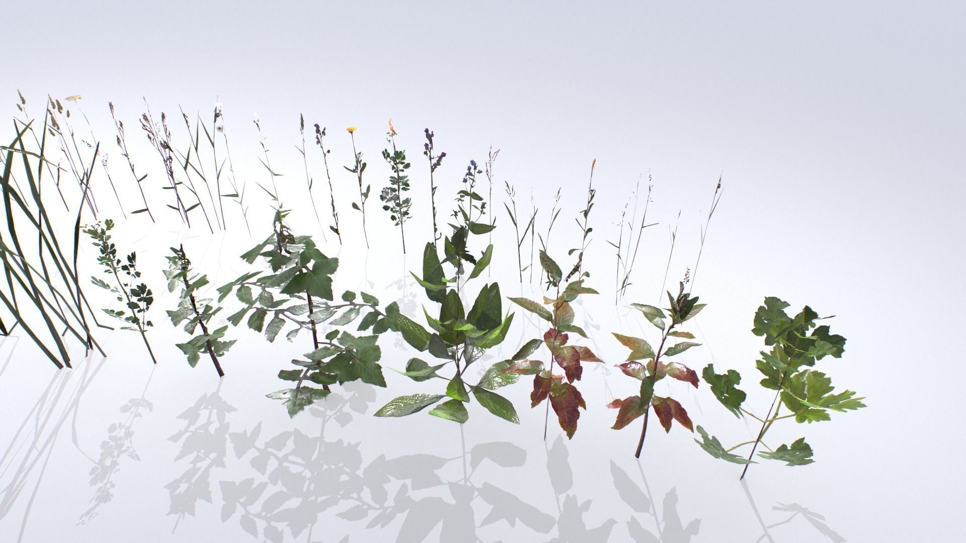Plants Pack Low-poly 3D model_9
