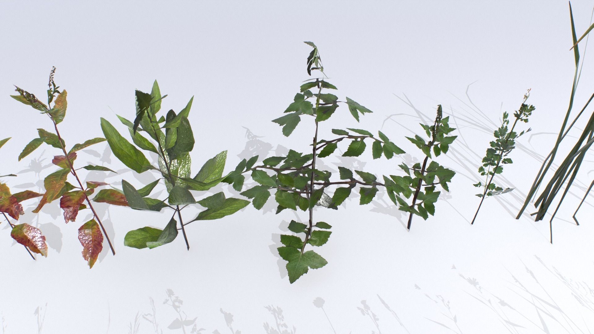Plants Pack Low-poly 3D model_7