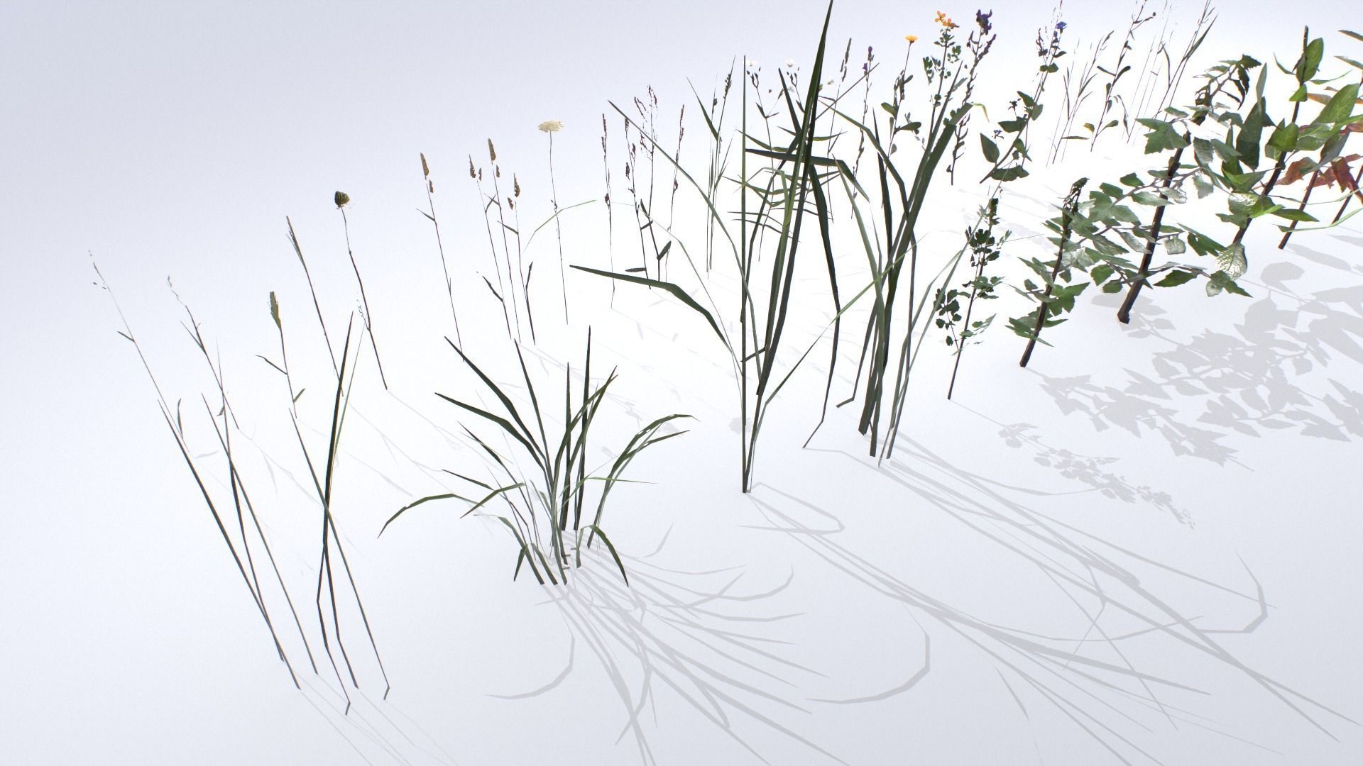 Plants Pack Low-poly 3D model_10