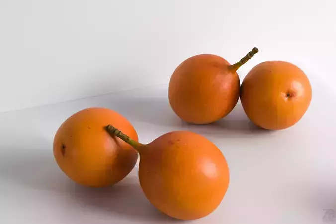 Granadilla 3D model