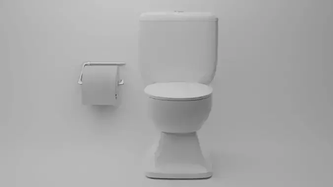 toilet with paper roll