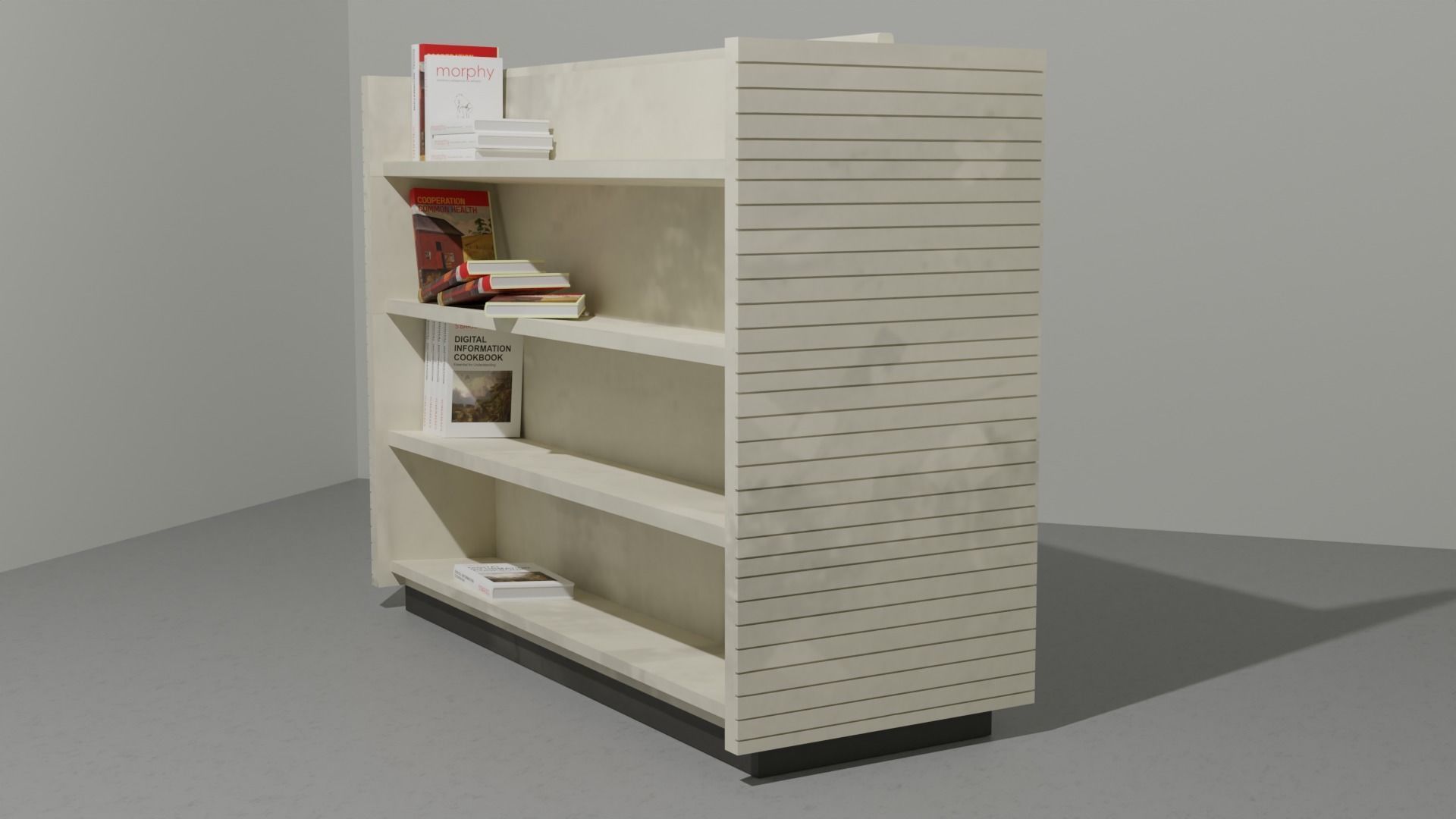 Distressed Retail Book Shelf or VHS Shelf or Game Shelf Low-poly 3D model_3