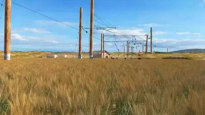 Train through rice fields
