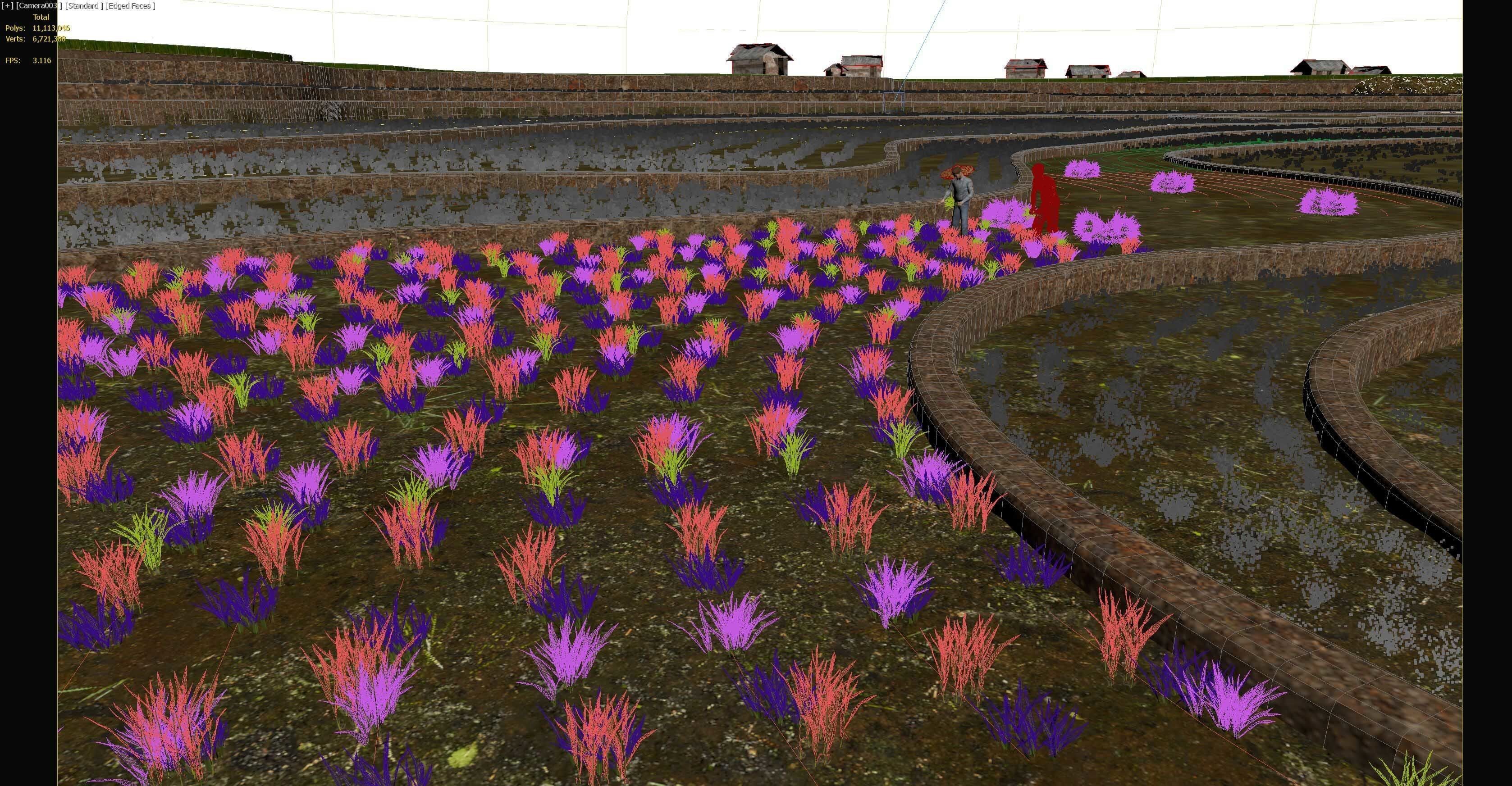 grow rice 3D model_7