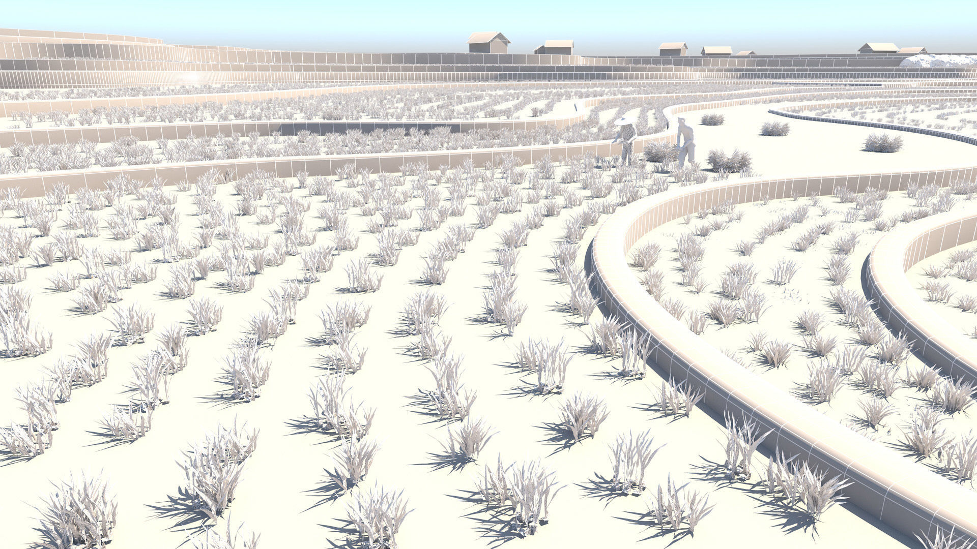 grow rice 3D model_3